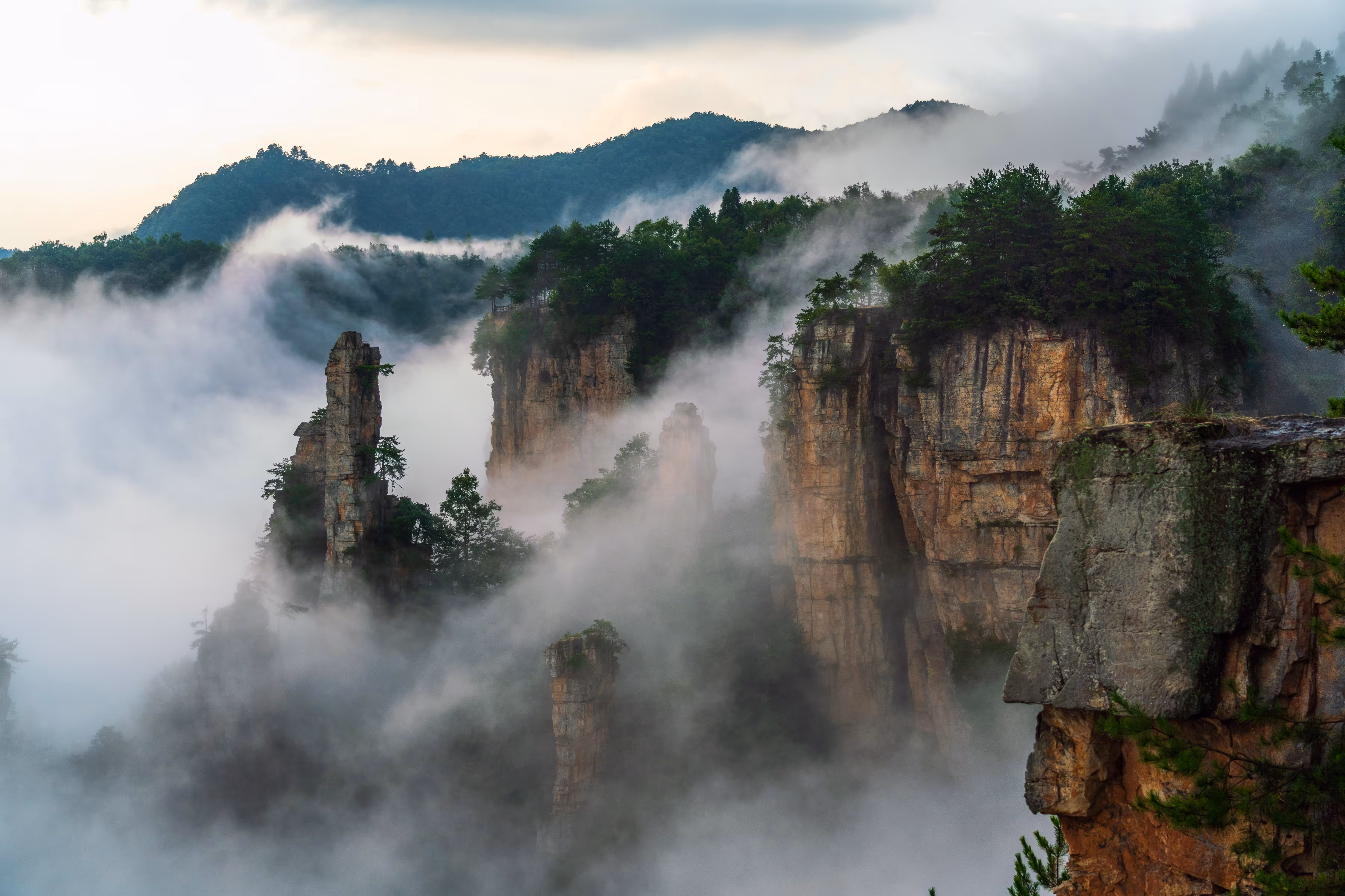 Mountains in the Mist