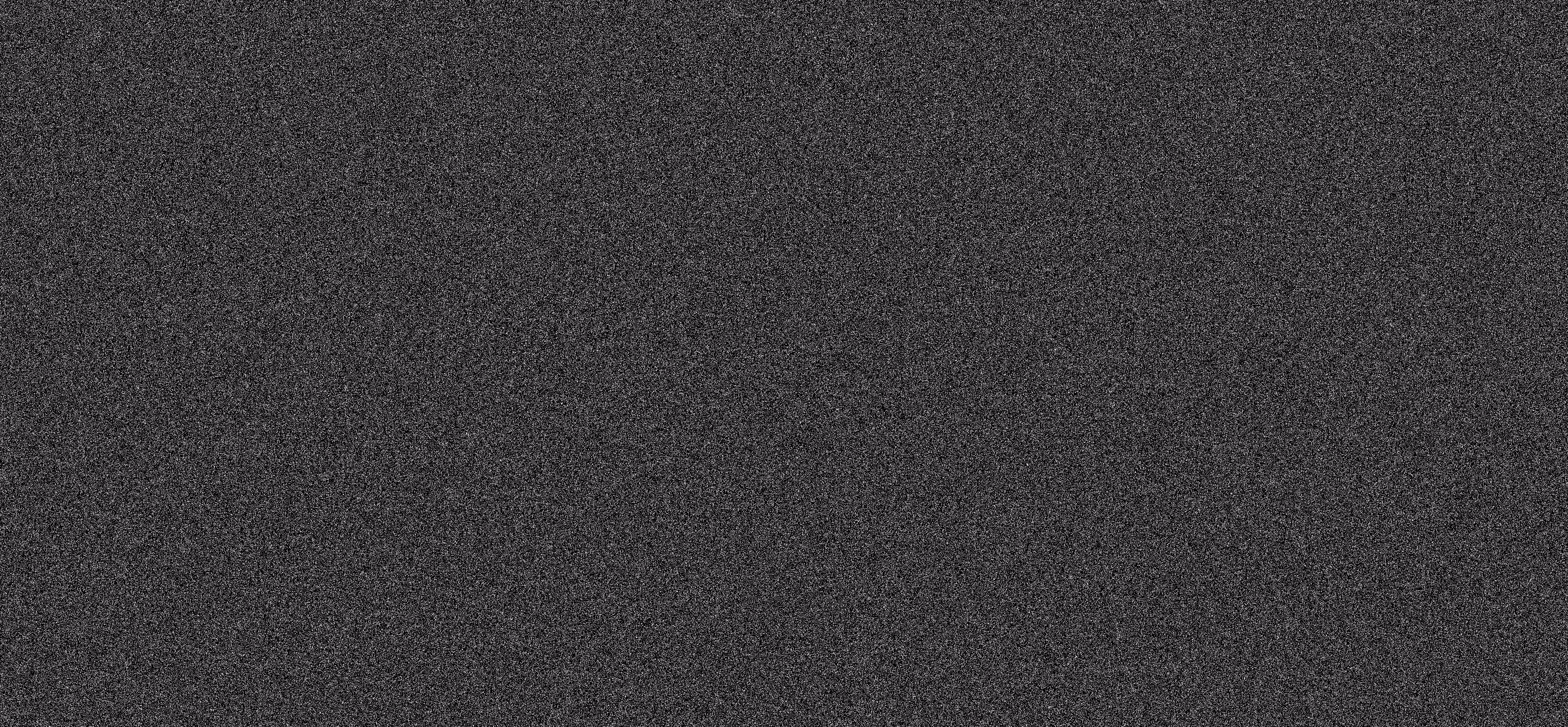 WE ARE NOISE