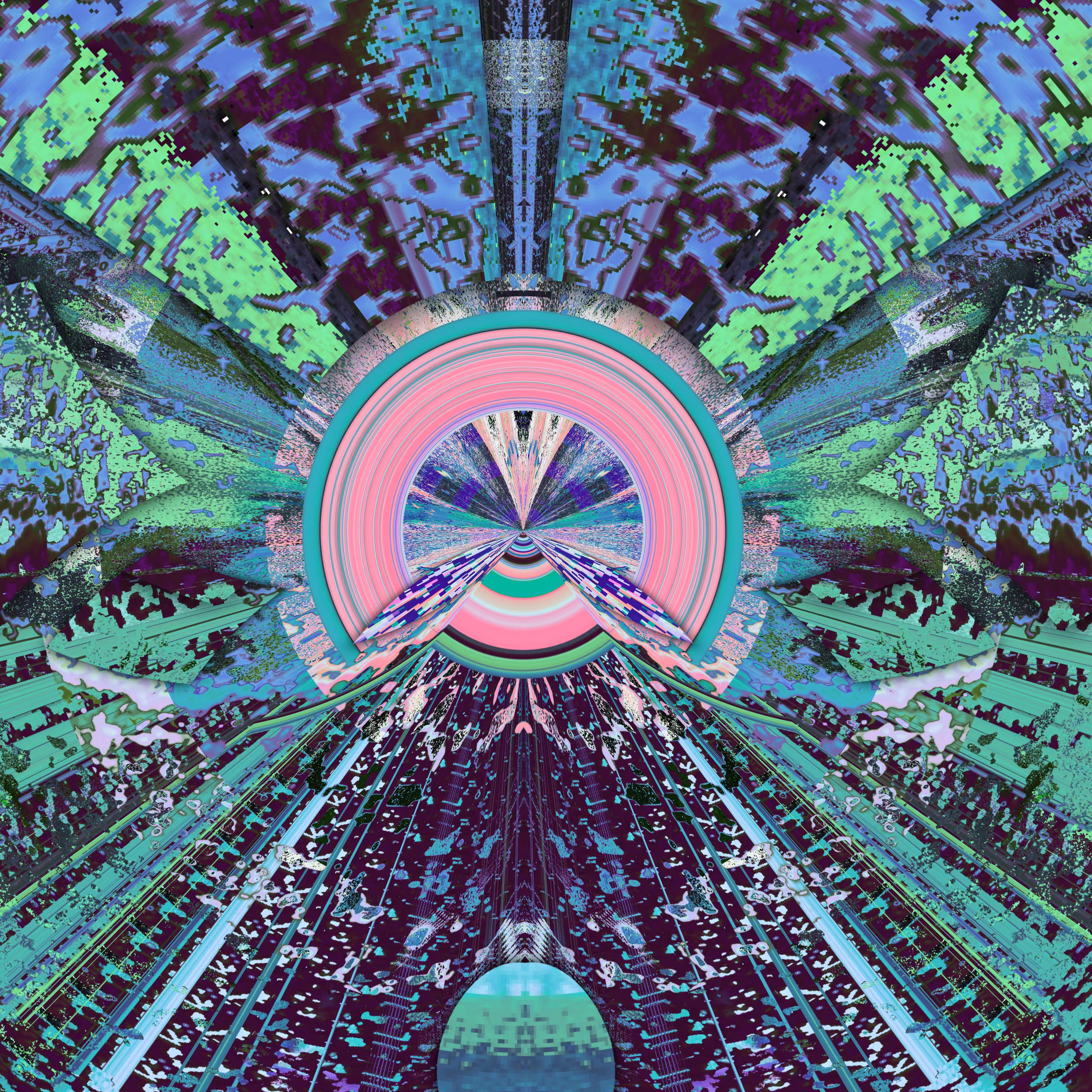 °BUDDER FLY° 