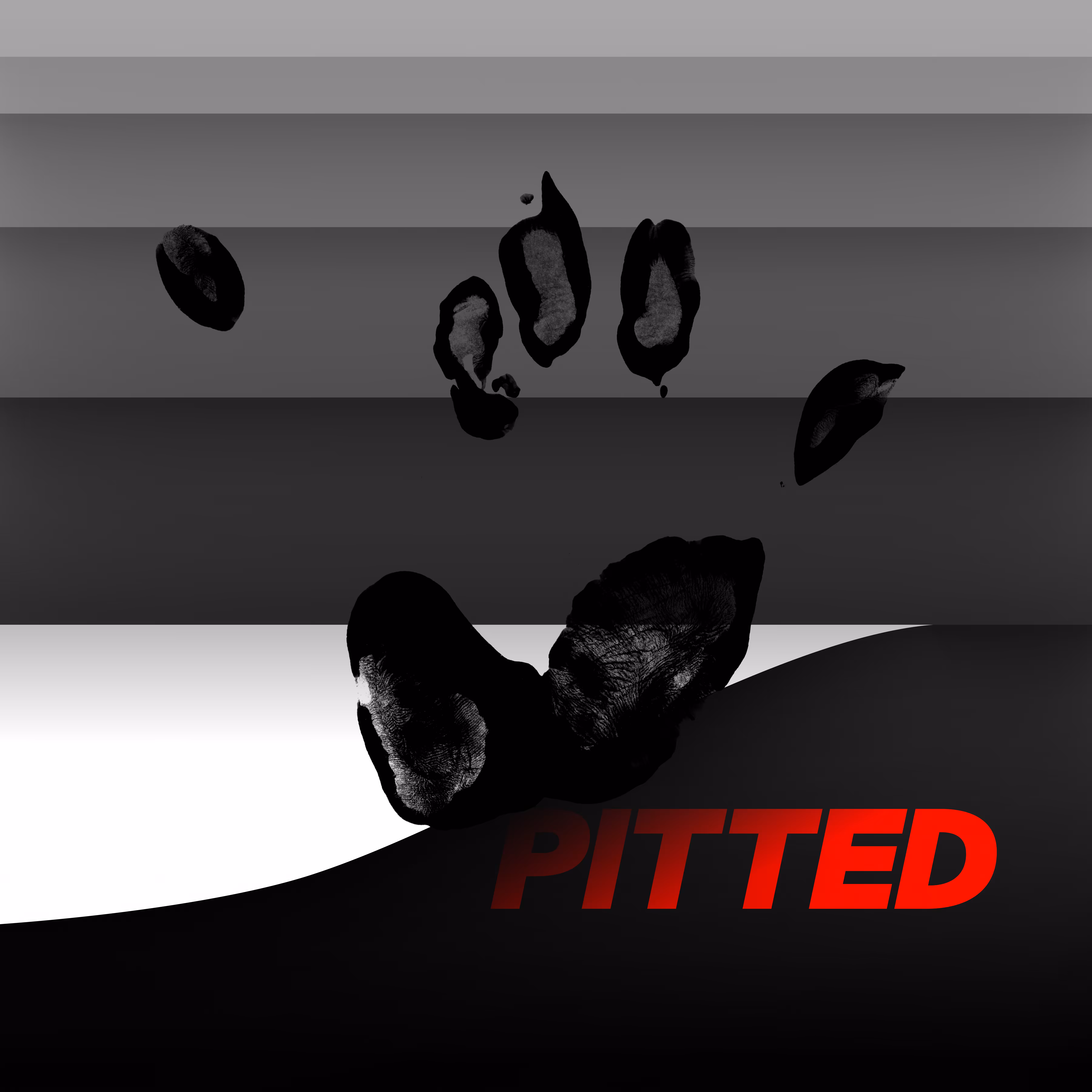 PITTED #20