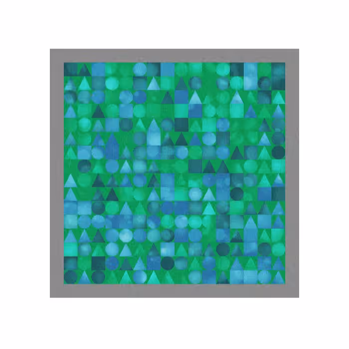 FOCUS #17