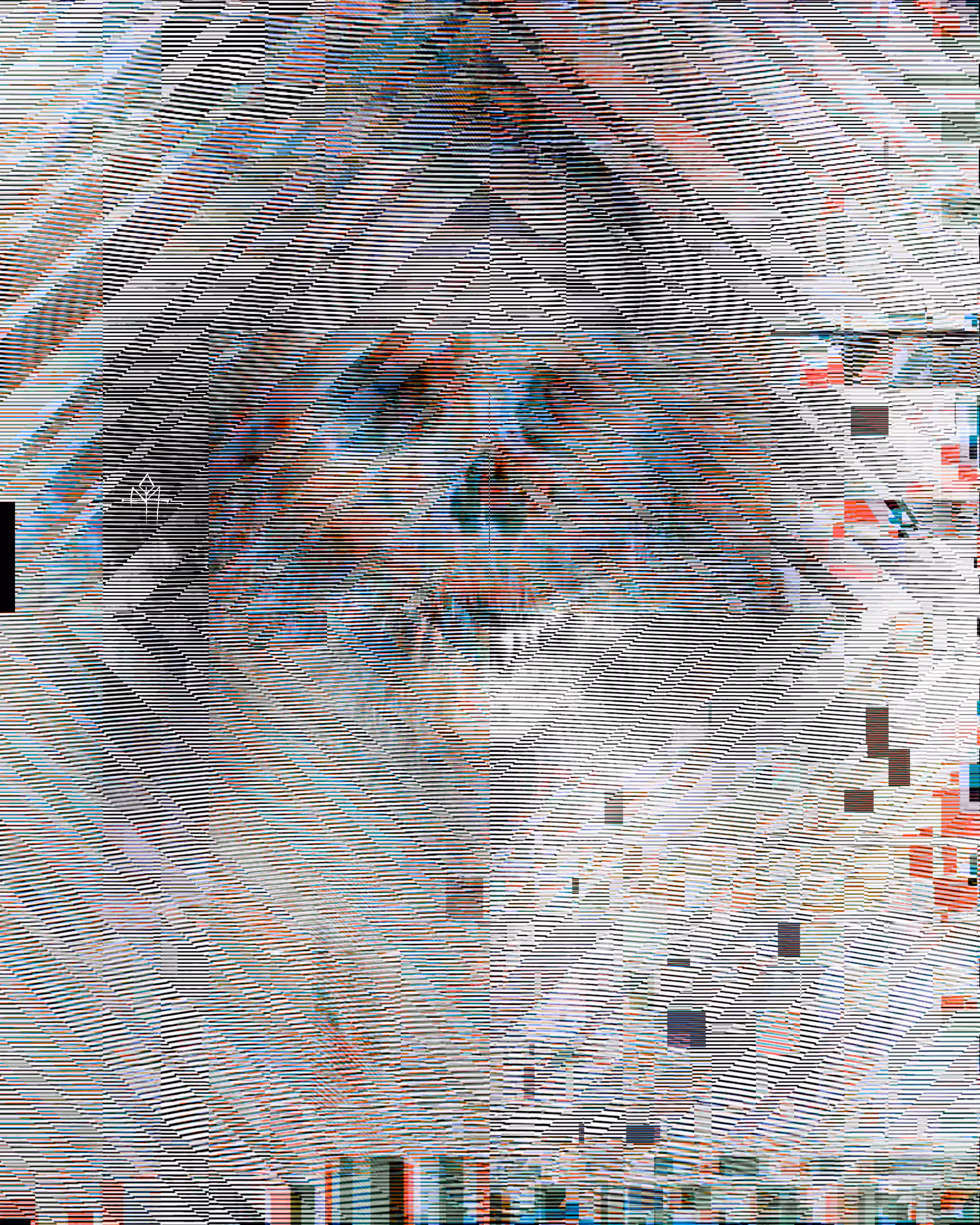 The Shaman