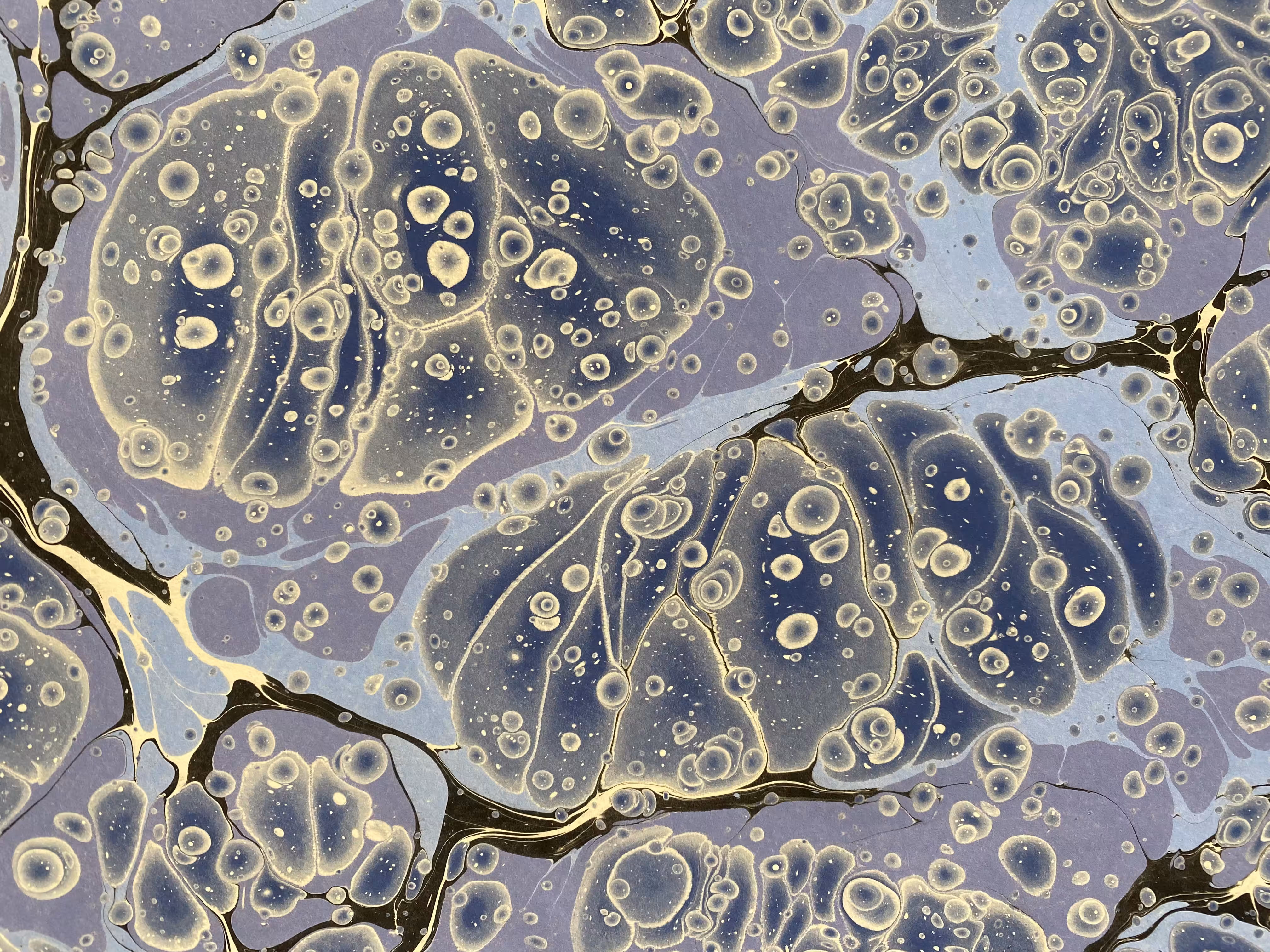 Battal Ebrû / Marbling Art DE #5