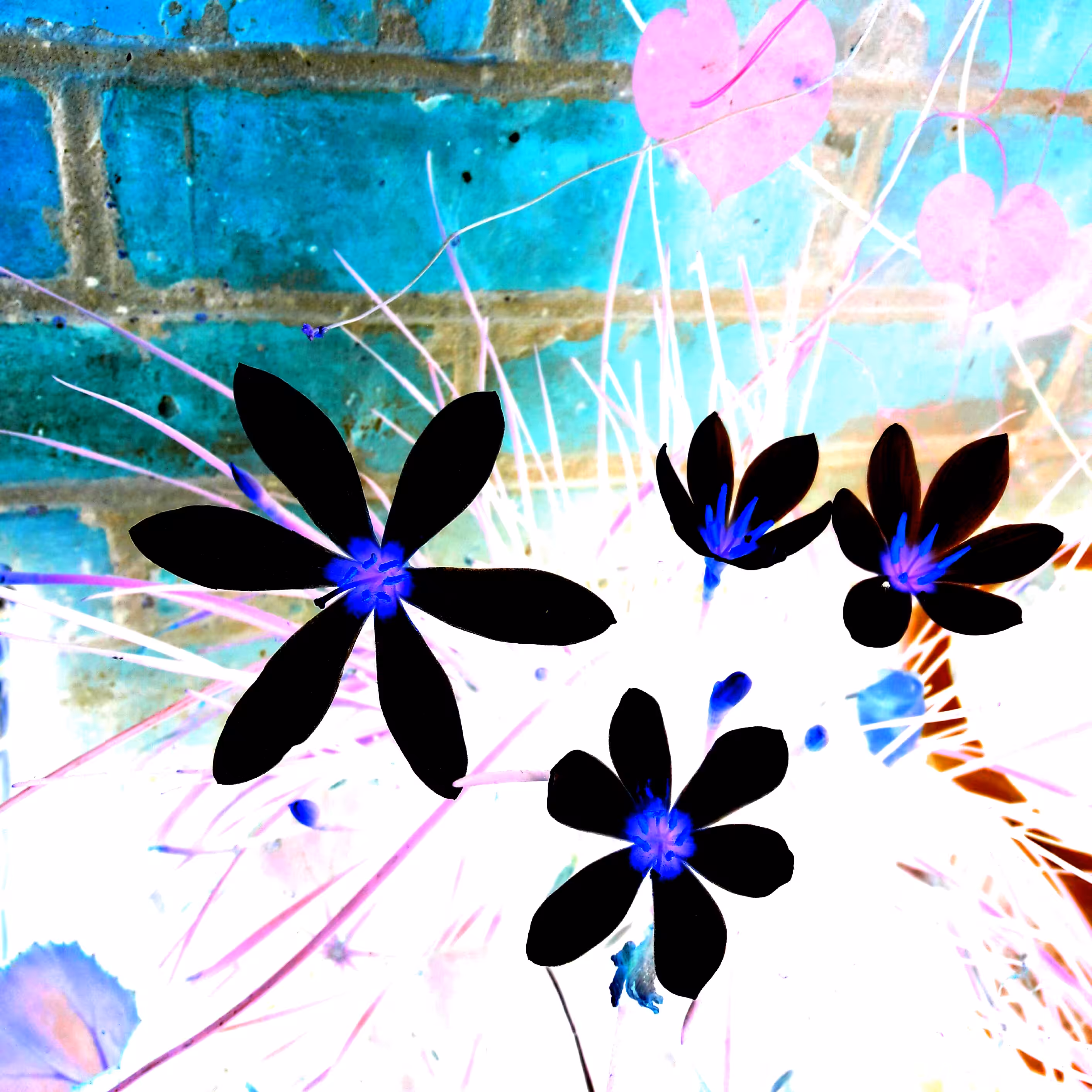 Trip 14
