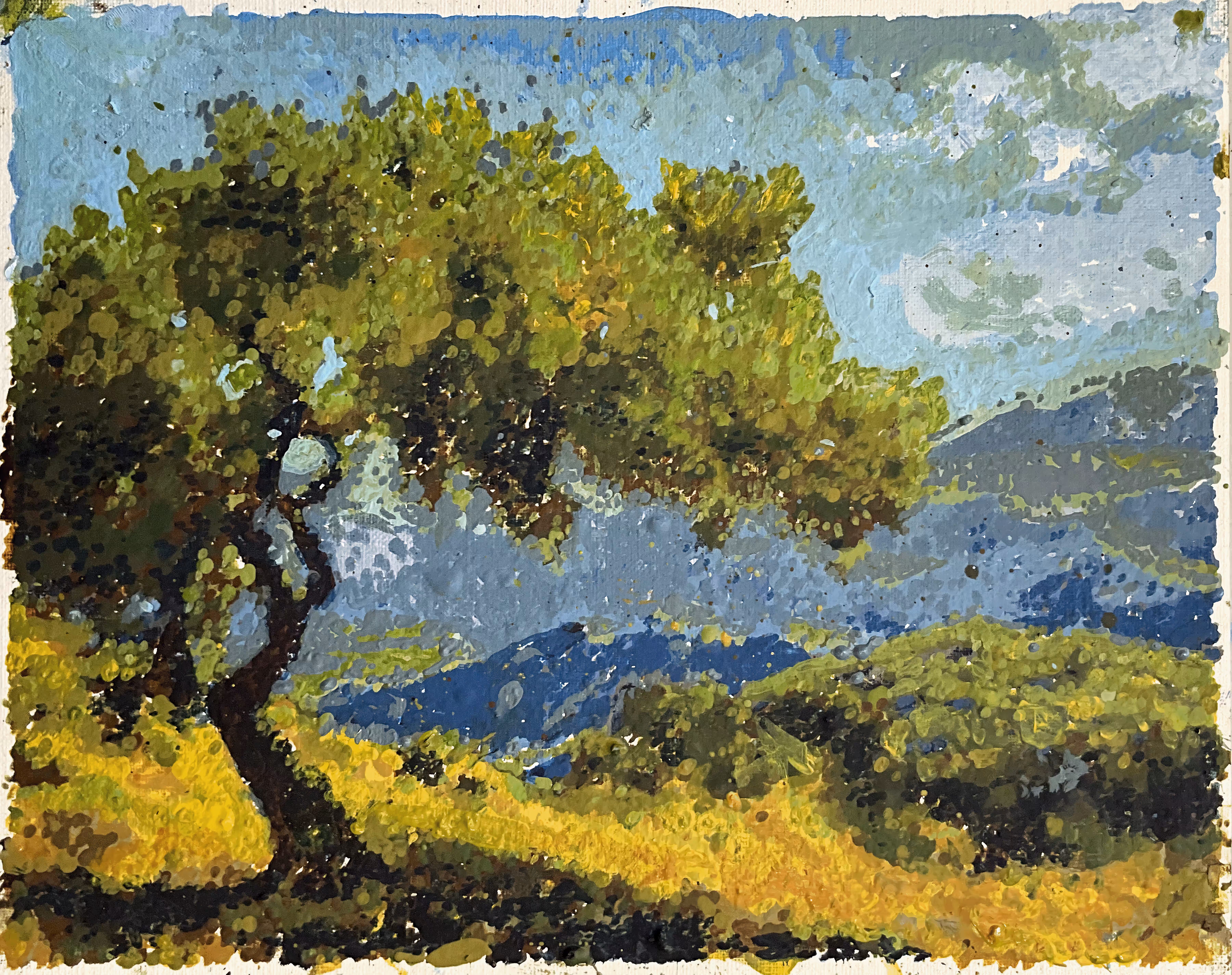 Árboles de olivo en el paisaje griego II