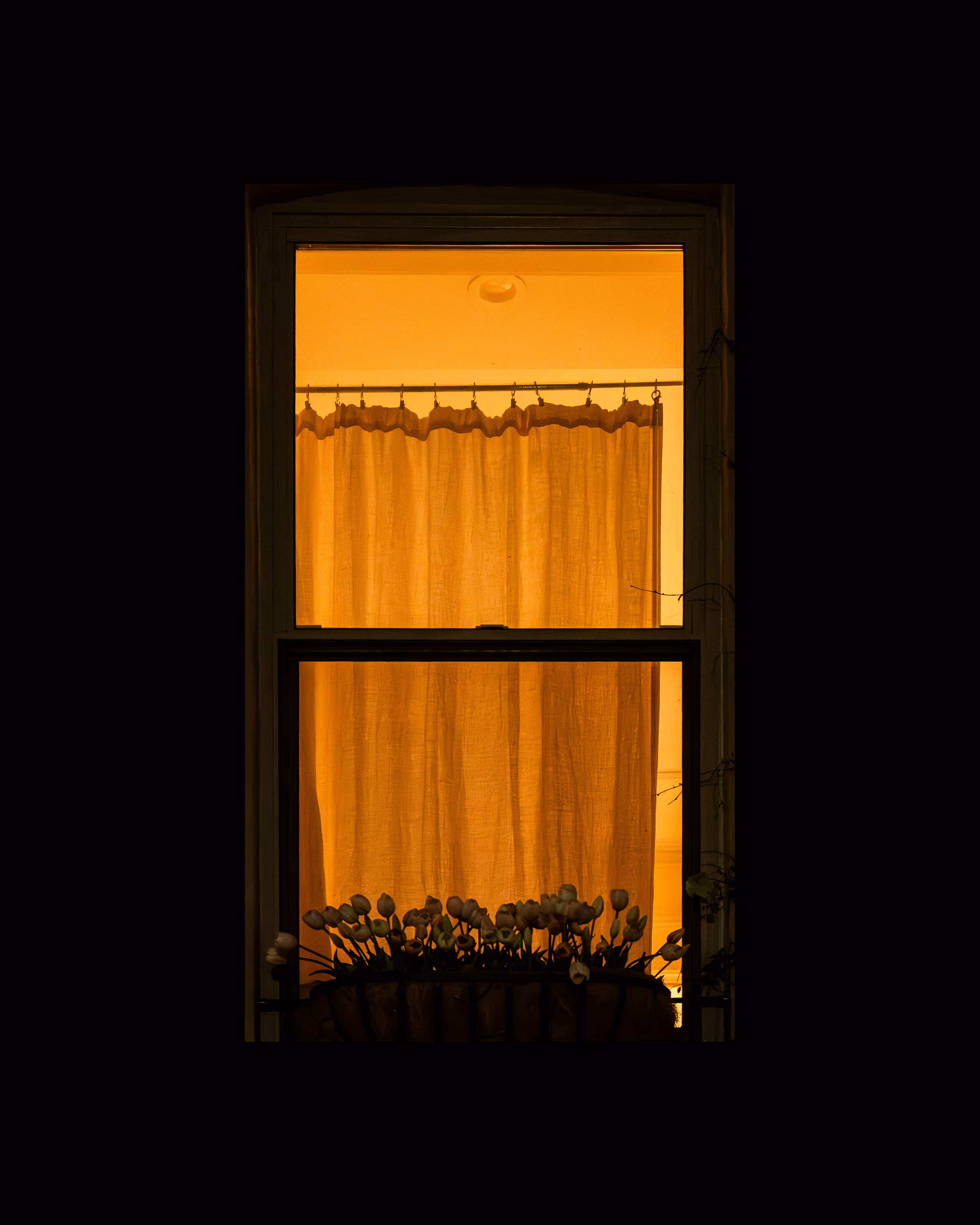 WINDOWS // NYC: WINDOW 632