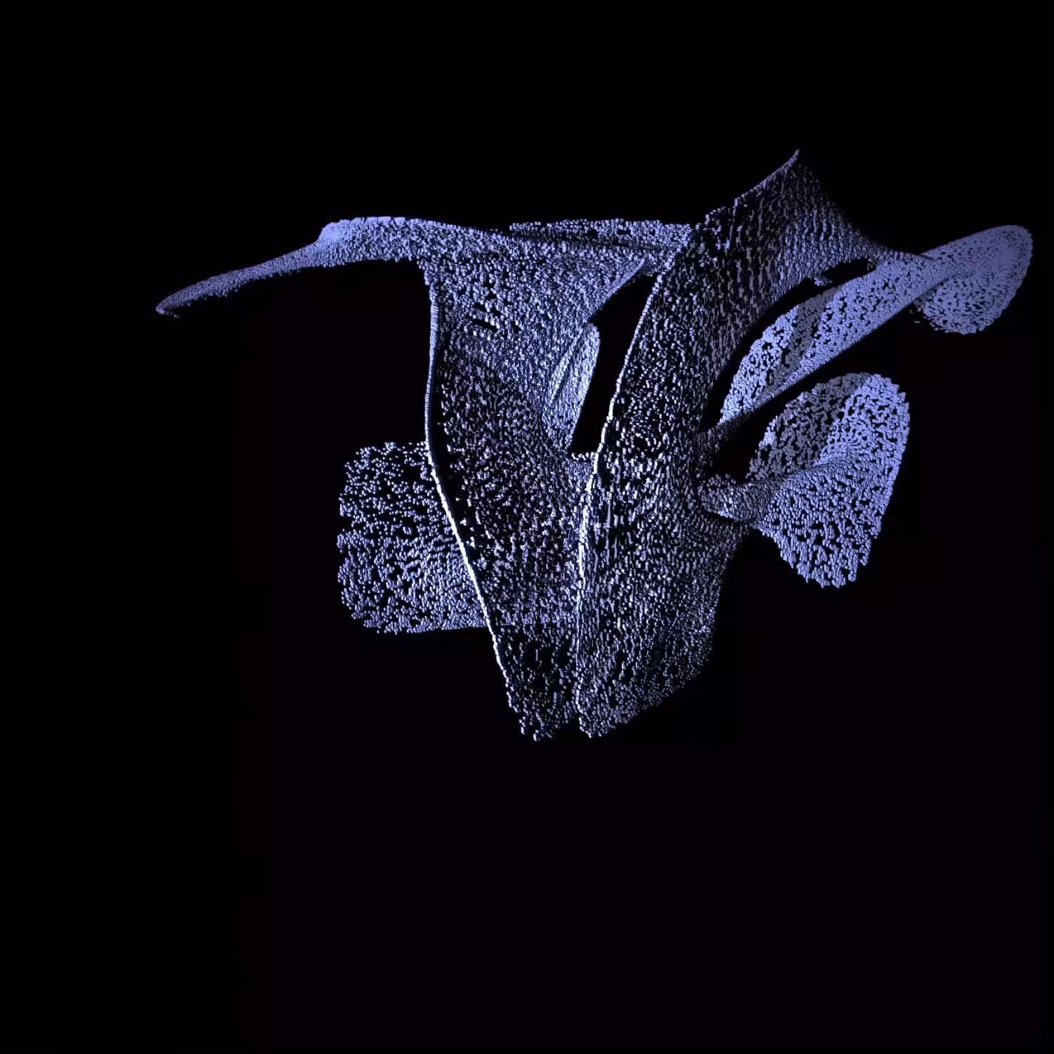 weirdFishes#01