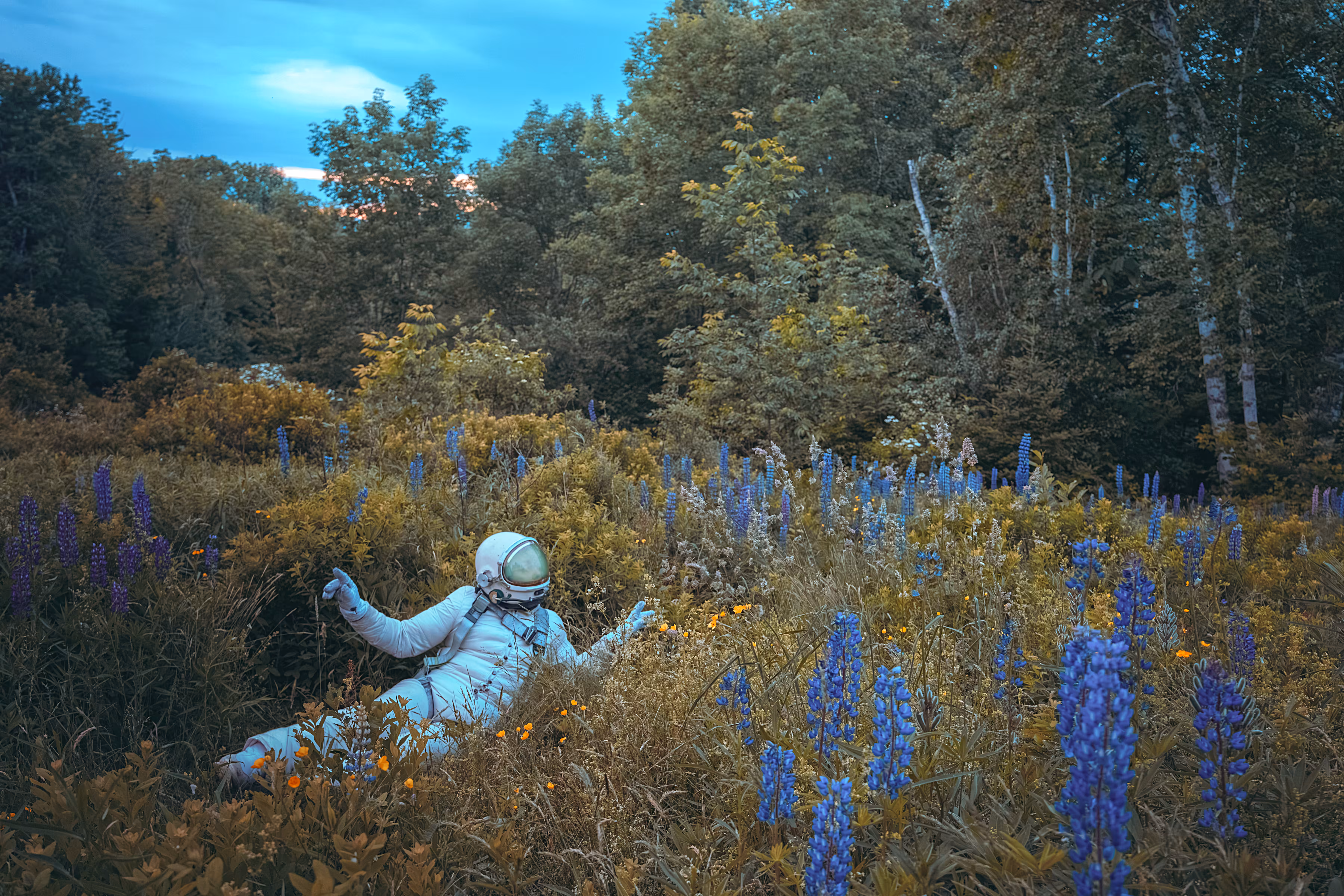 The Lonely Astronaut - White Suit Edition: Beneath The Lupines