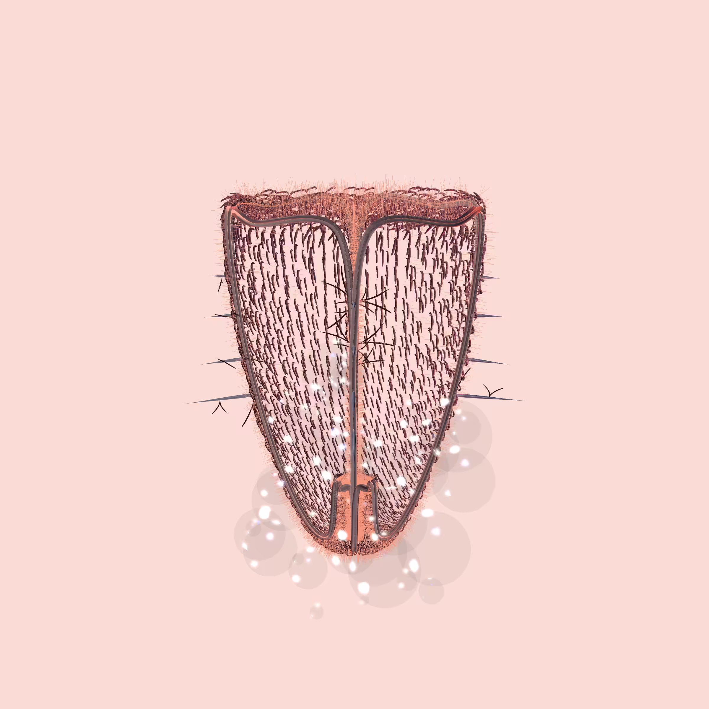 Lycorises #12