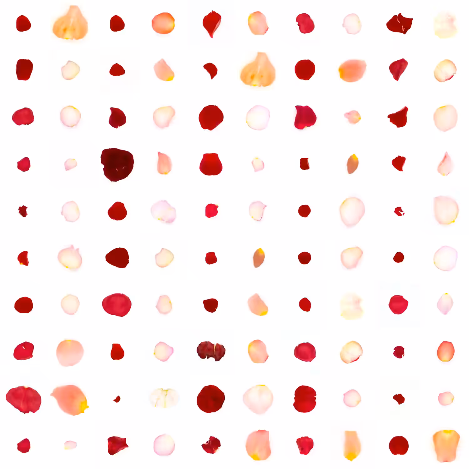 Infinite Petals 10x10#41