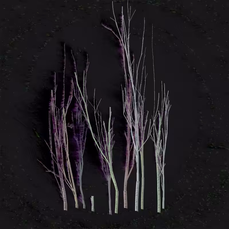 Grove #28