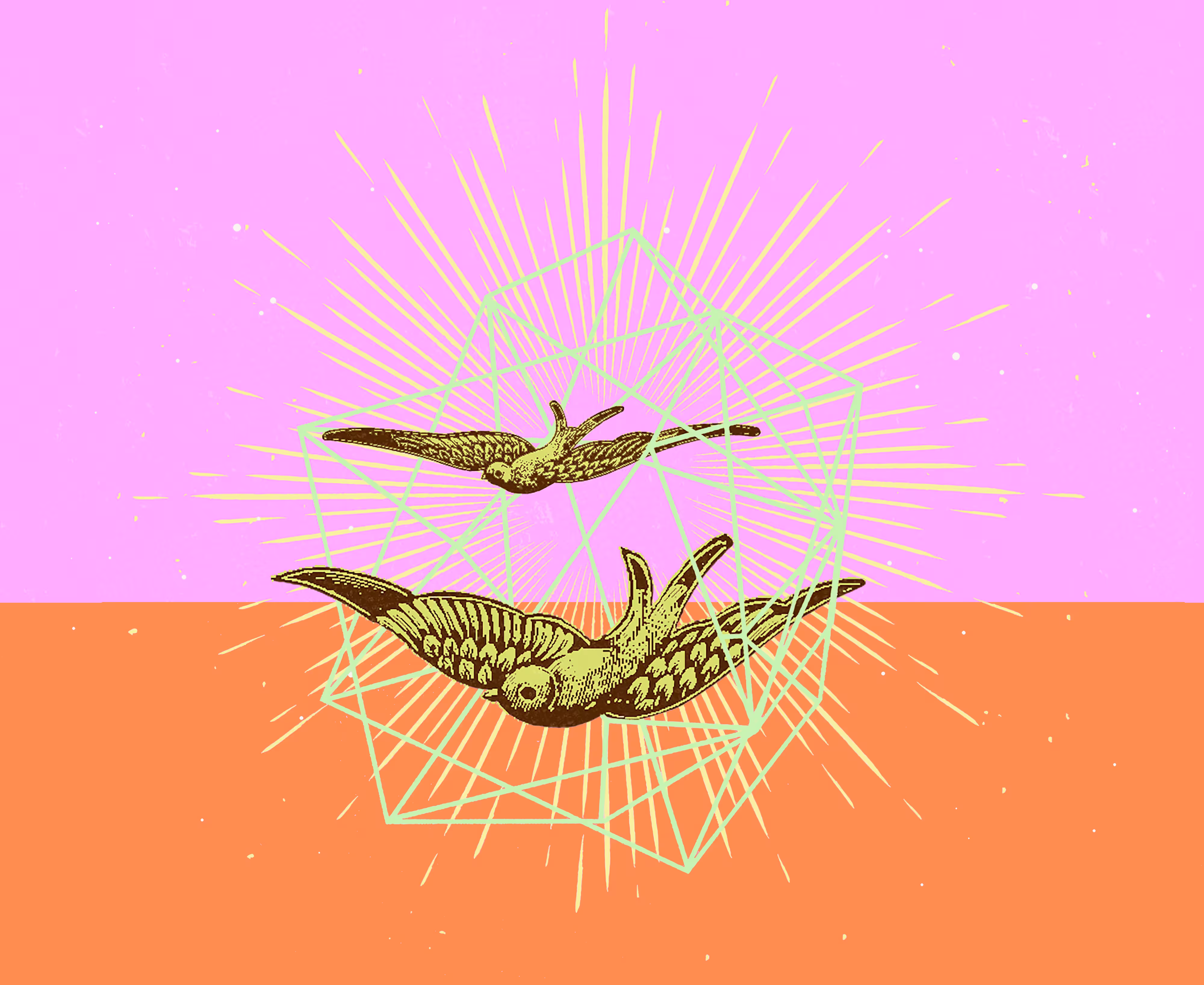 GEOMETRIC BIRDS