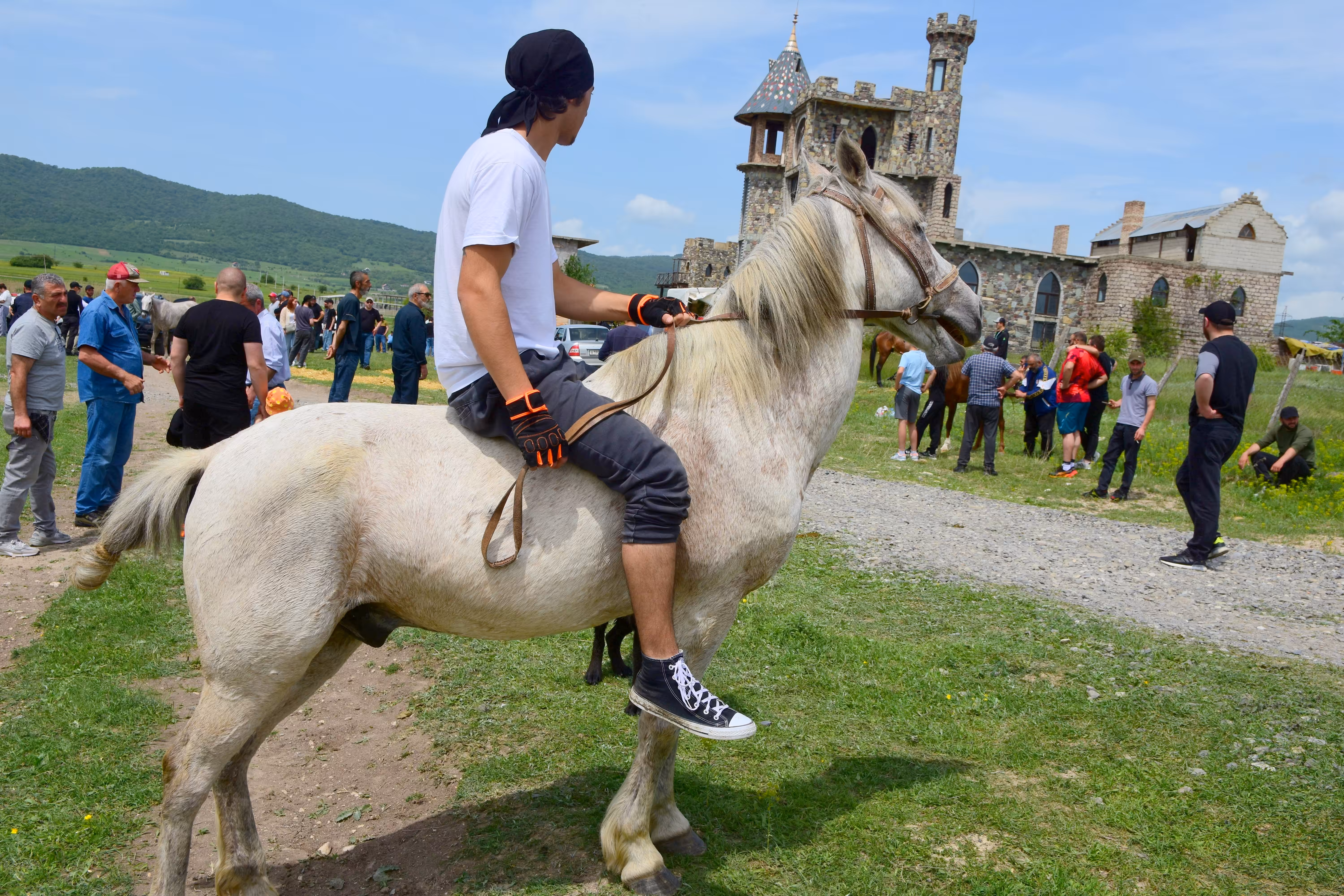 Horse Race 2