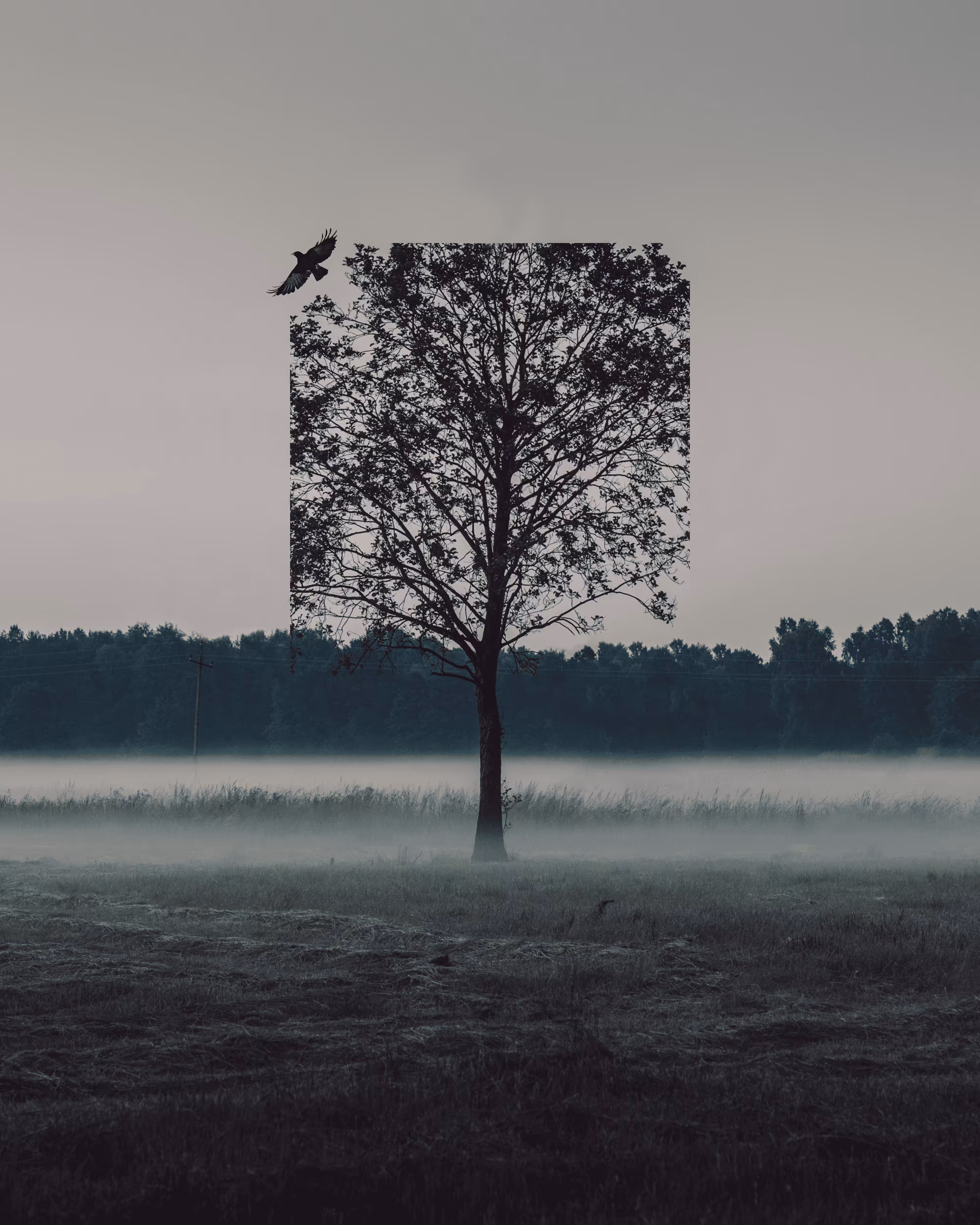 IMPOSSIBLE TREE