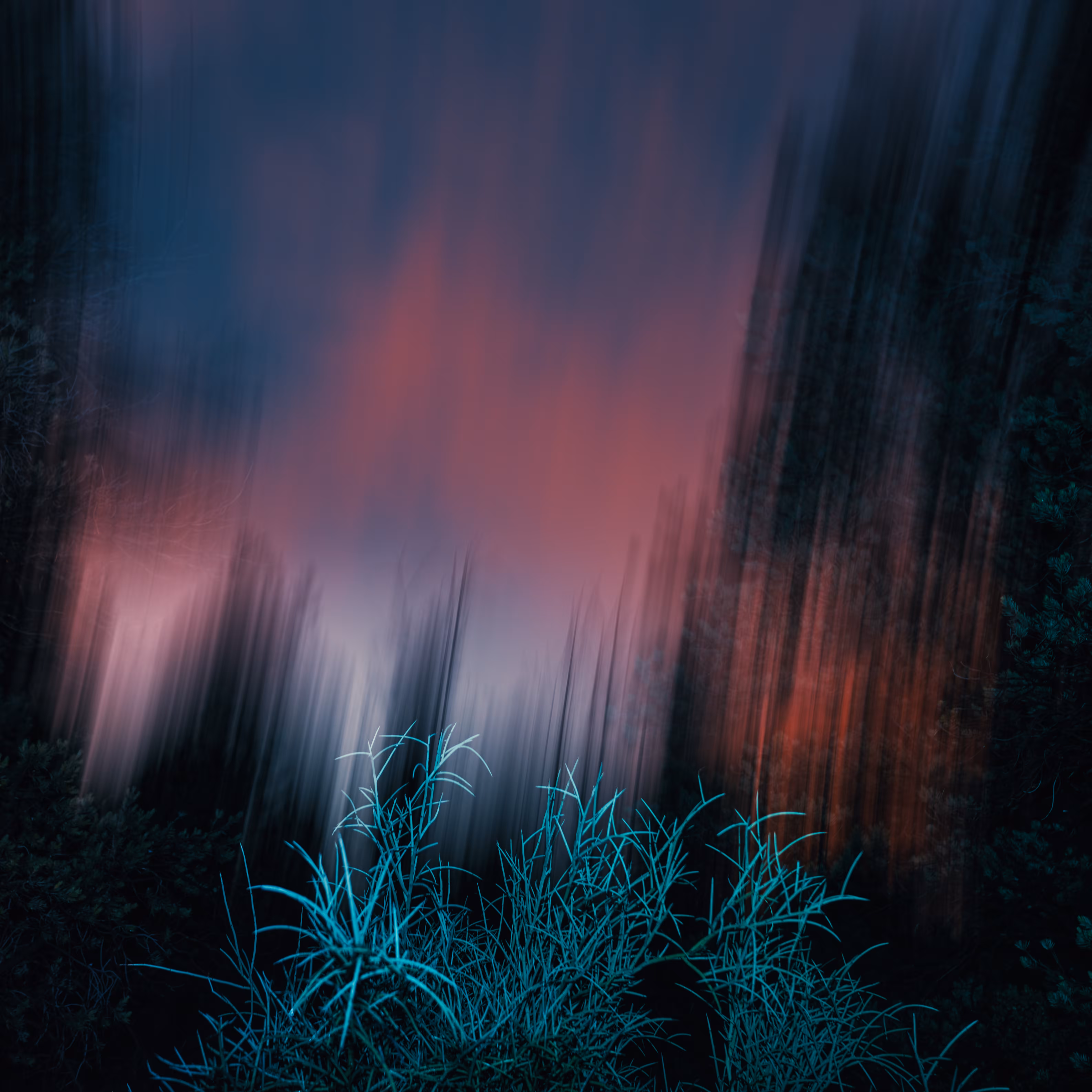 Sunset Canyon