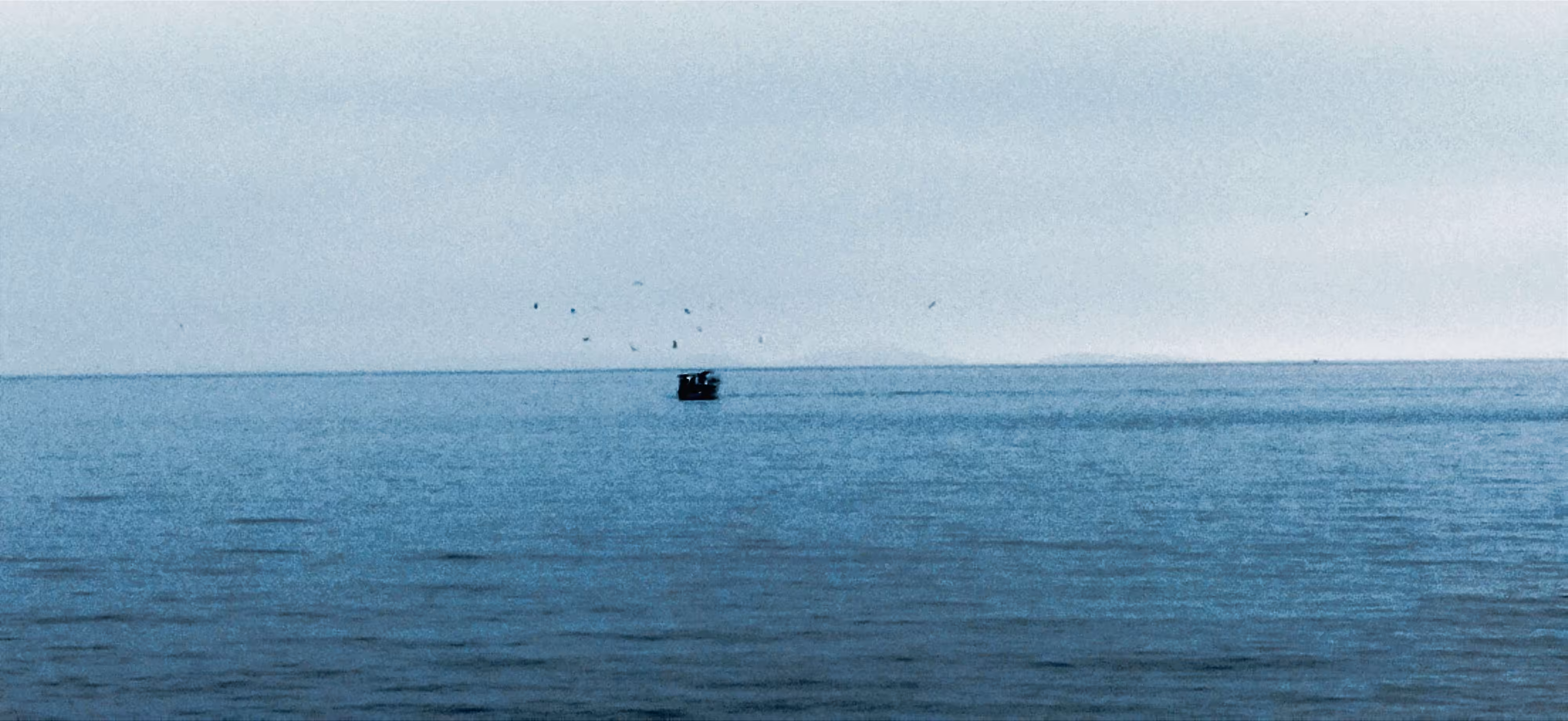 The loneliness of the fisherman