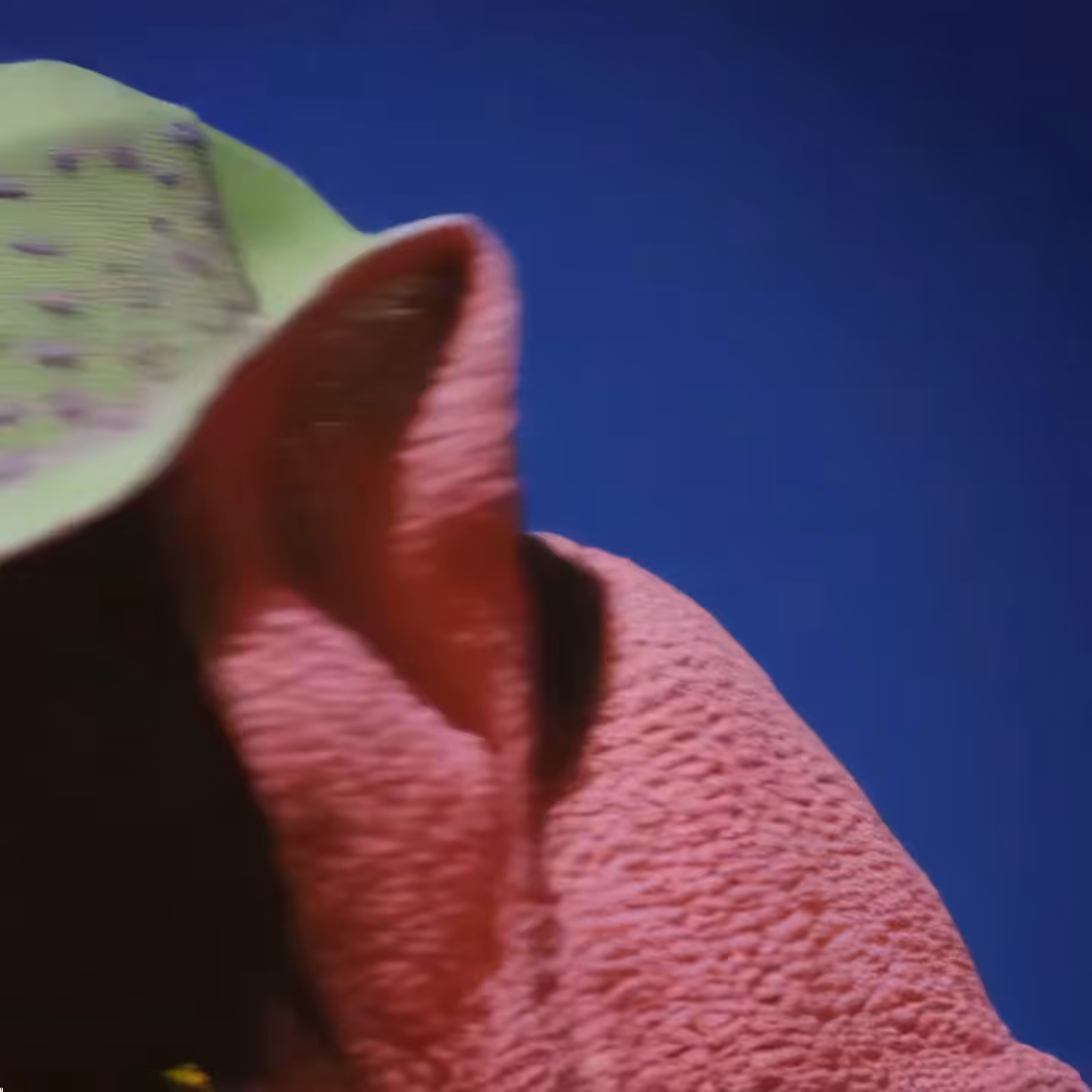 GIF#189