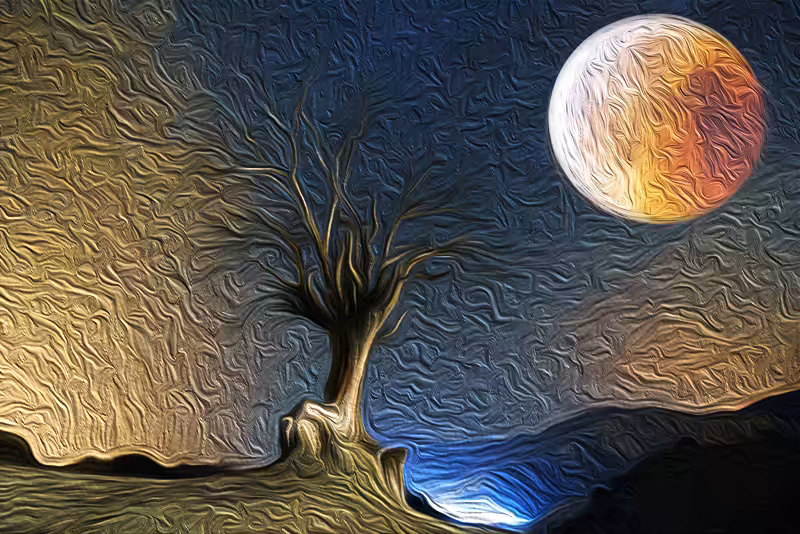lonely tree
