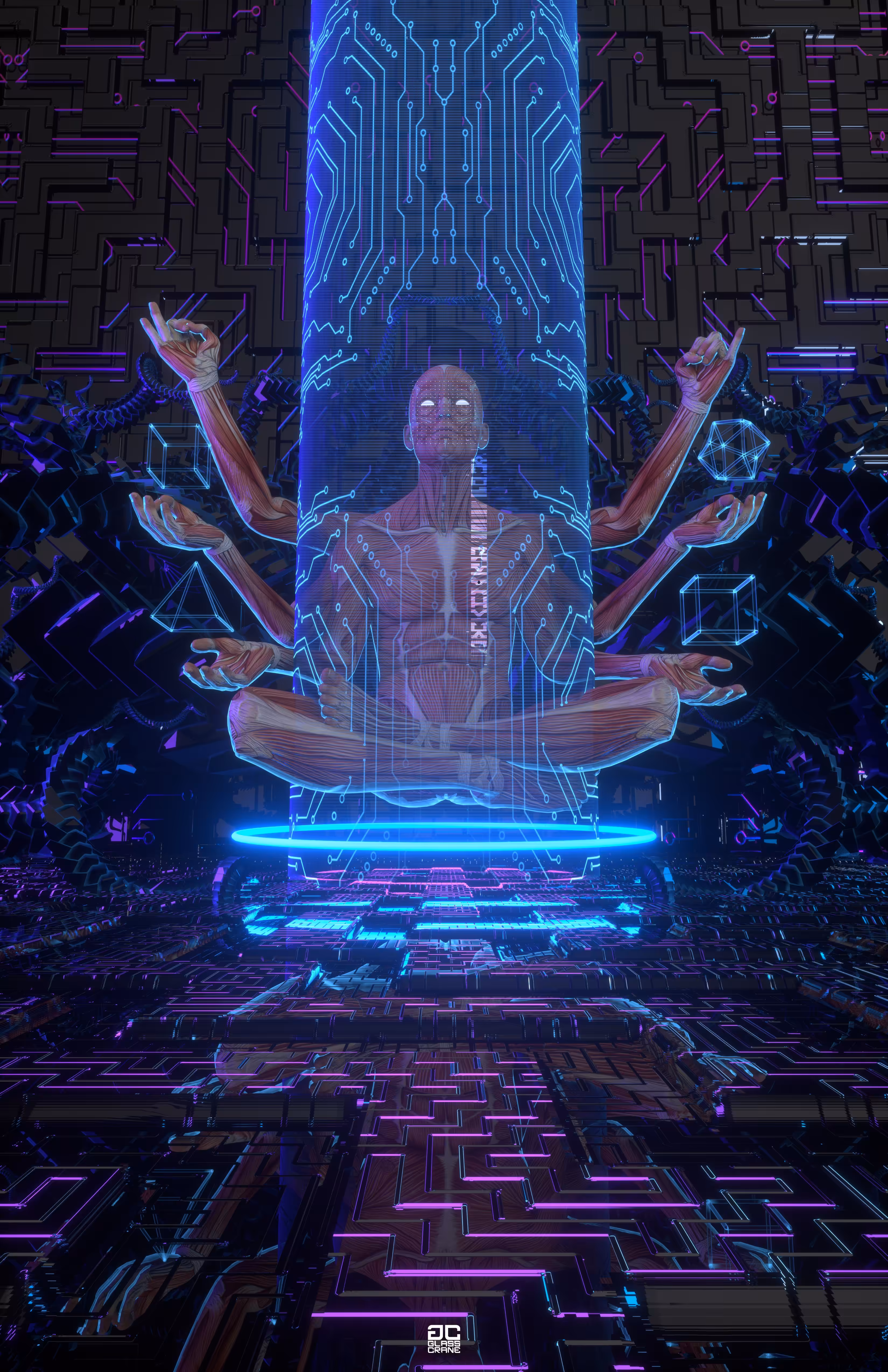 ELDER