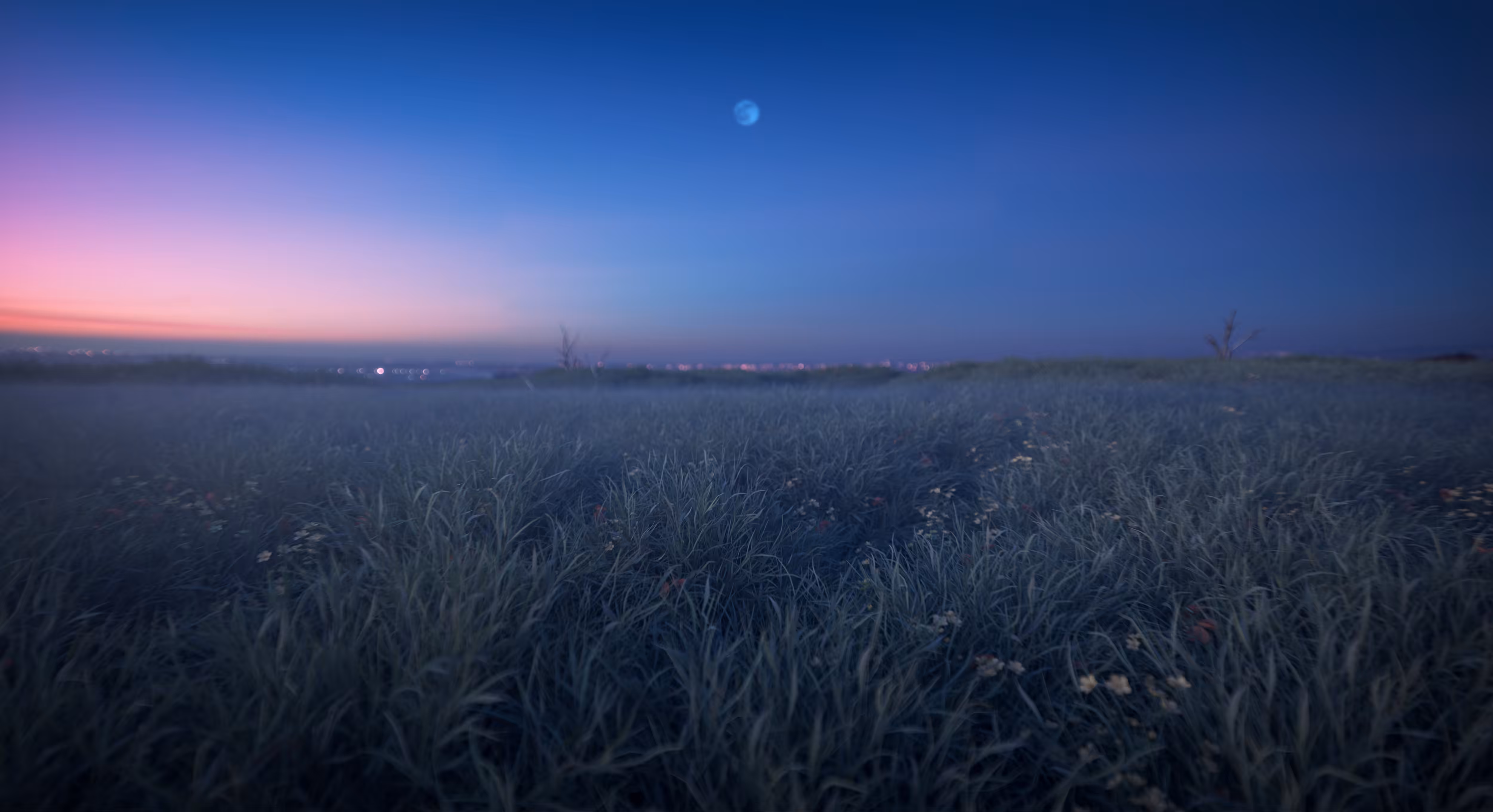 The Moon, the Mist & the Memories