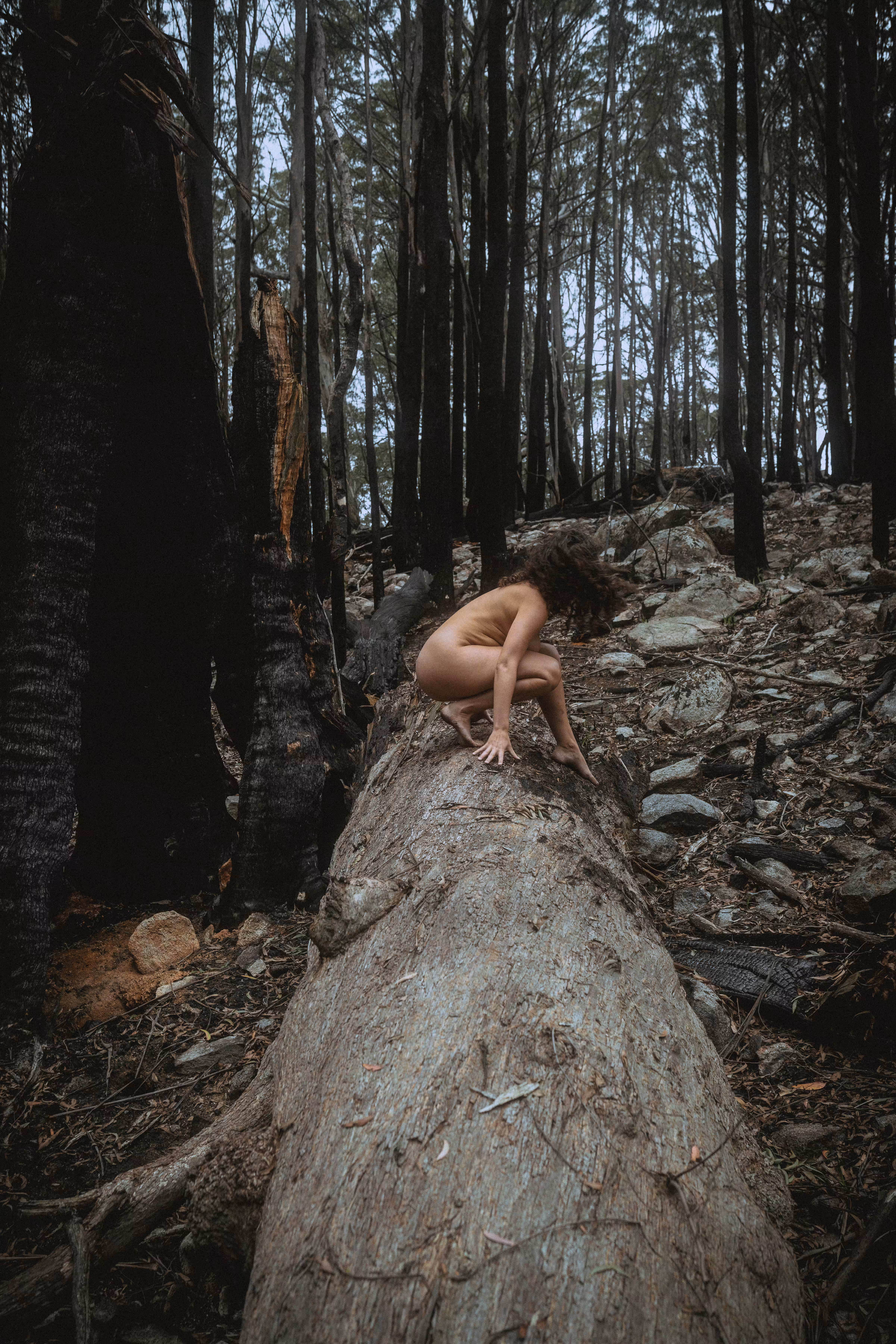 Wilderness of Life #3