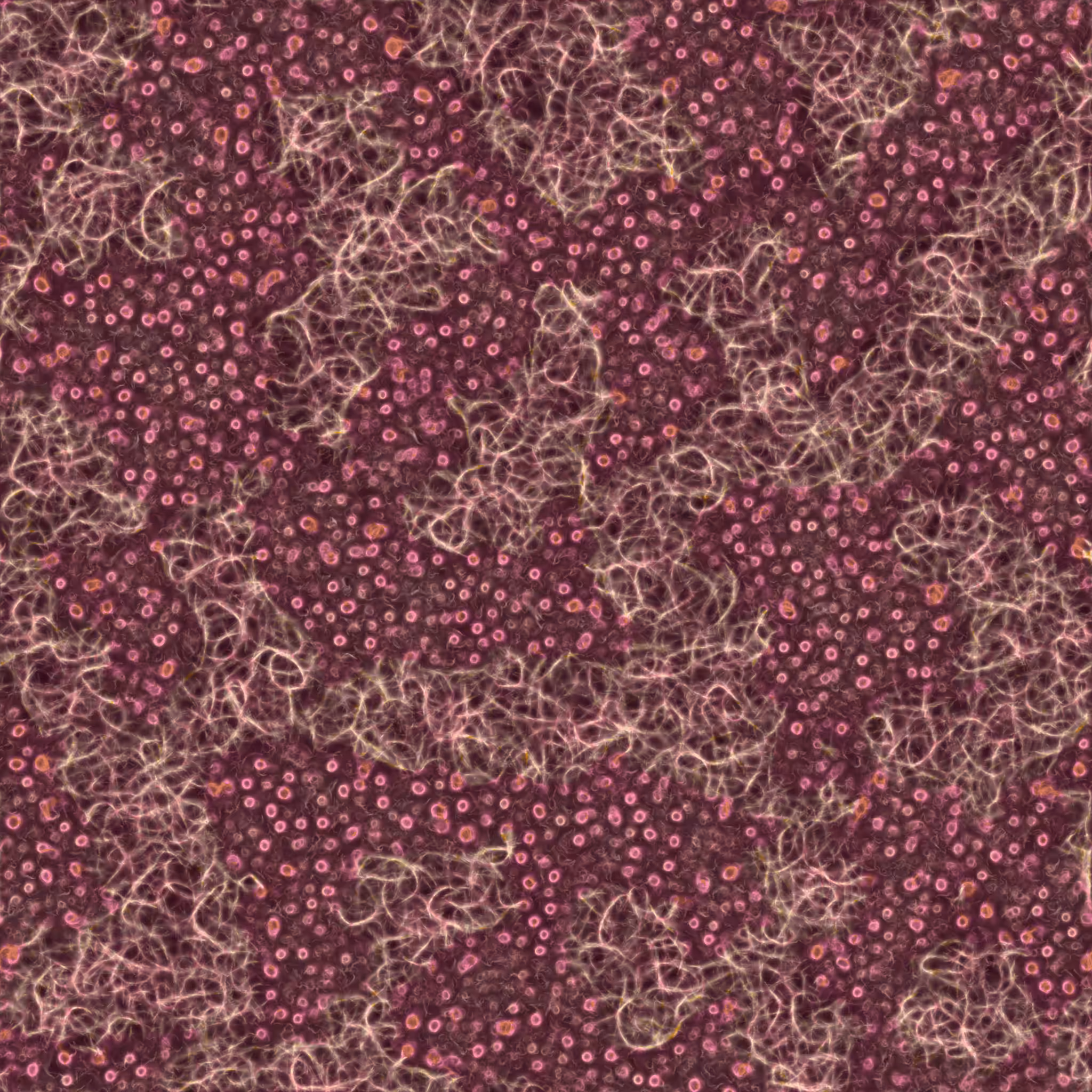 saprophyte #207
