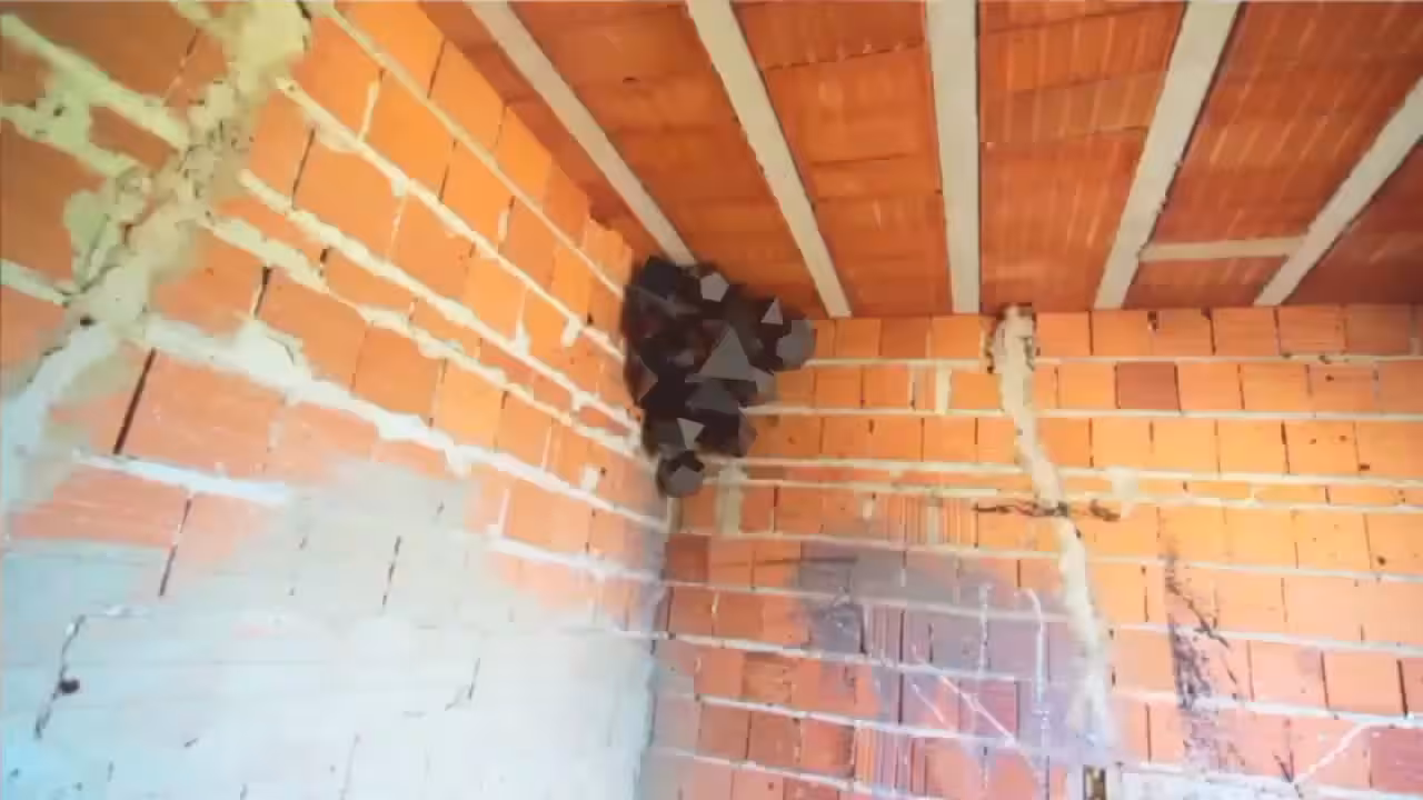 Strange things appear in abandoned building