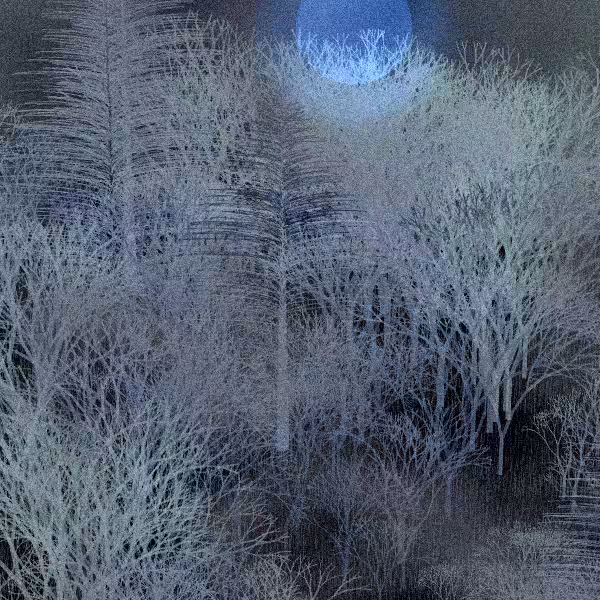 Moonlit Native Bush #89