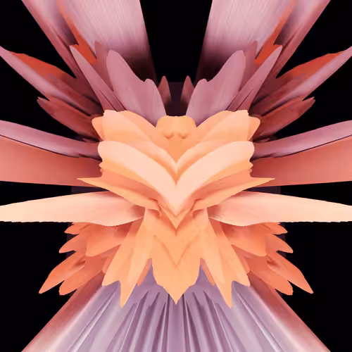 GRAVIZ#15