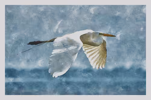 Watercolored 060