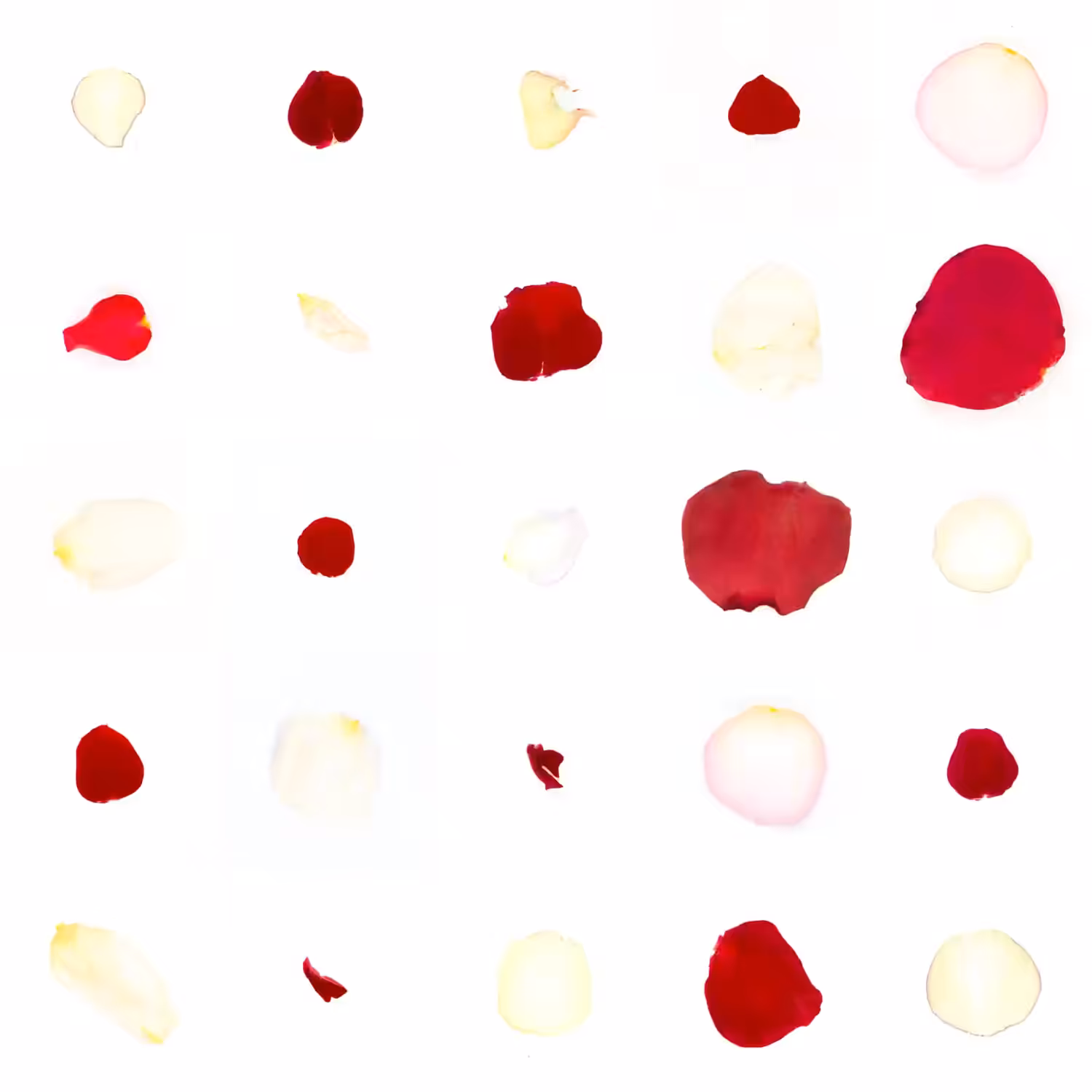 Infinite Petals 5x5#21099
