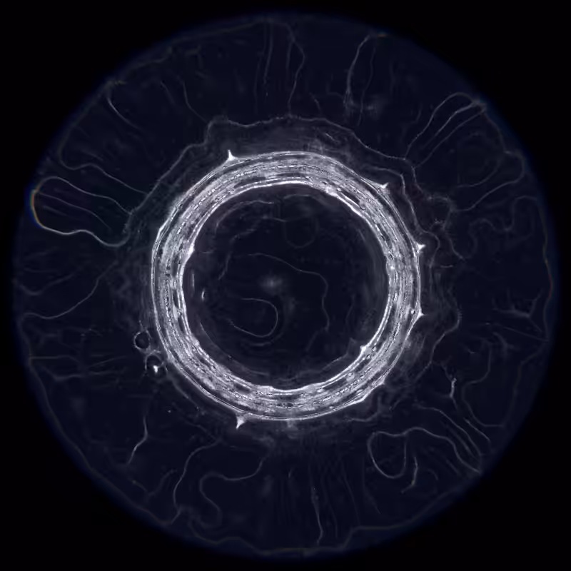 Ethereal Microcosm #175