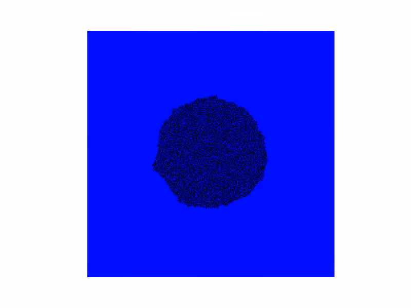 Brain Slice #1