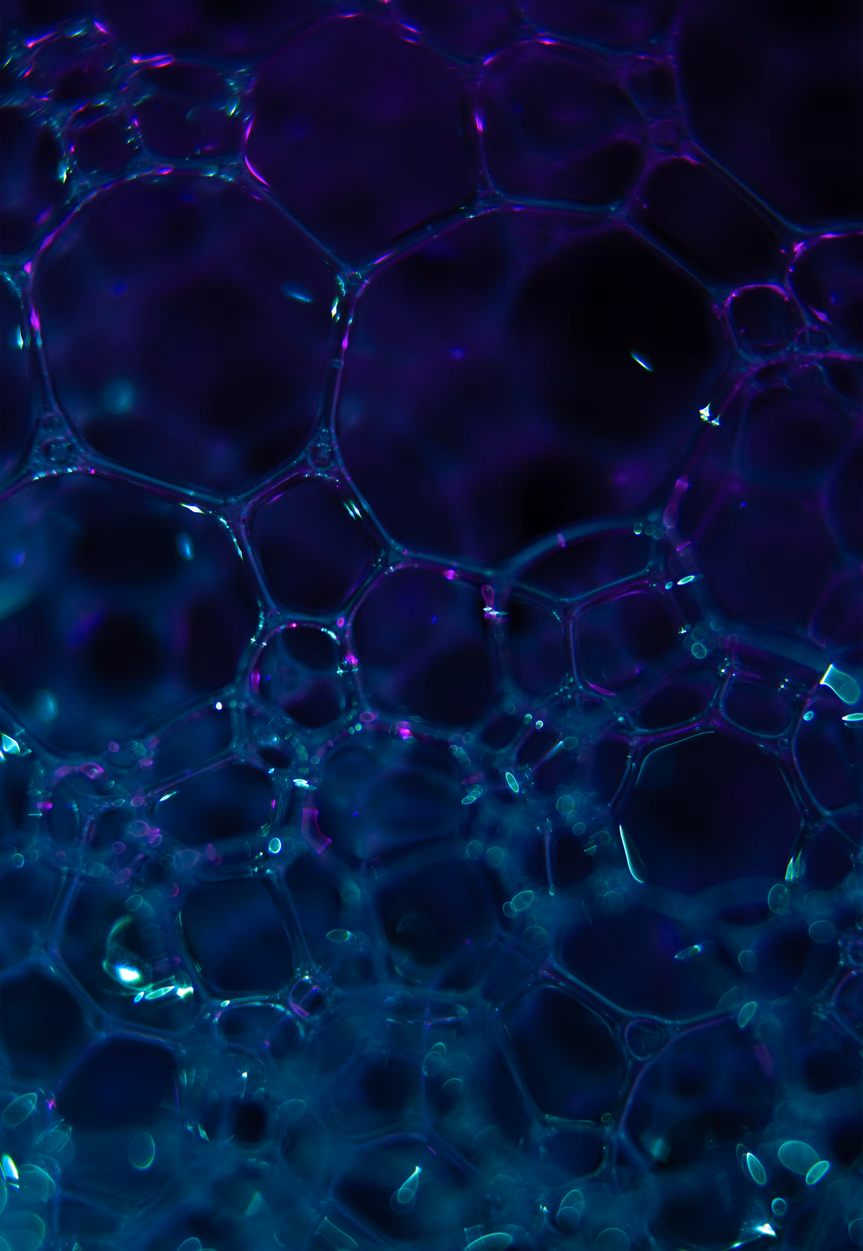 Abstract World of Soap Bubbles: #18 Bubbles