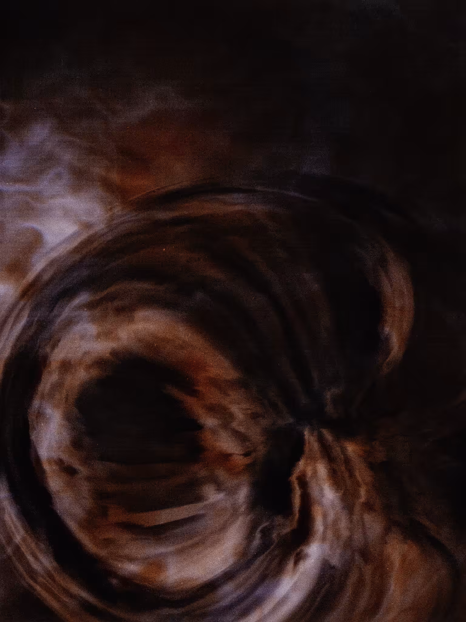 #81
