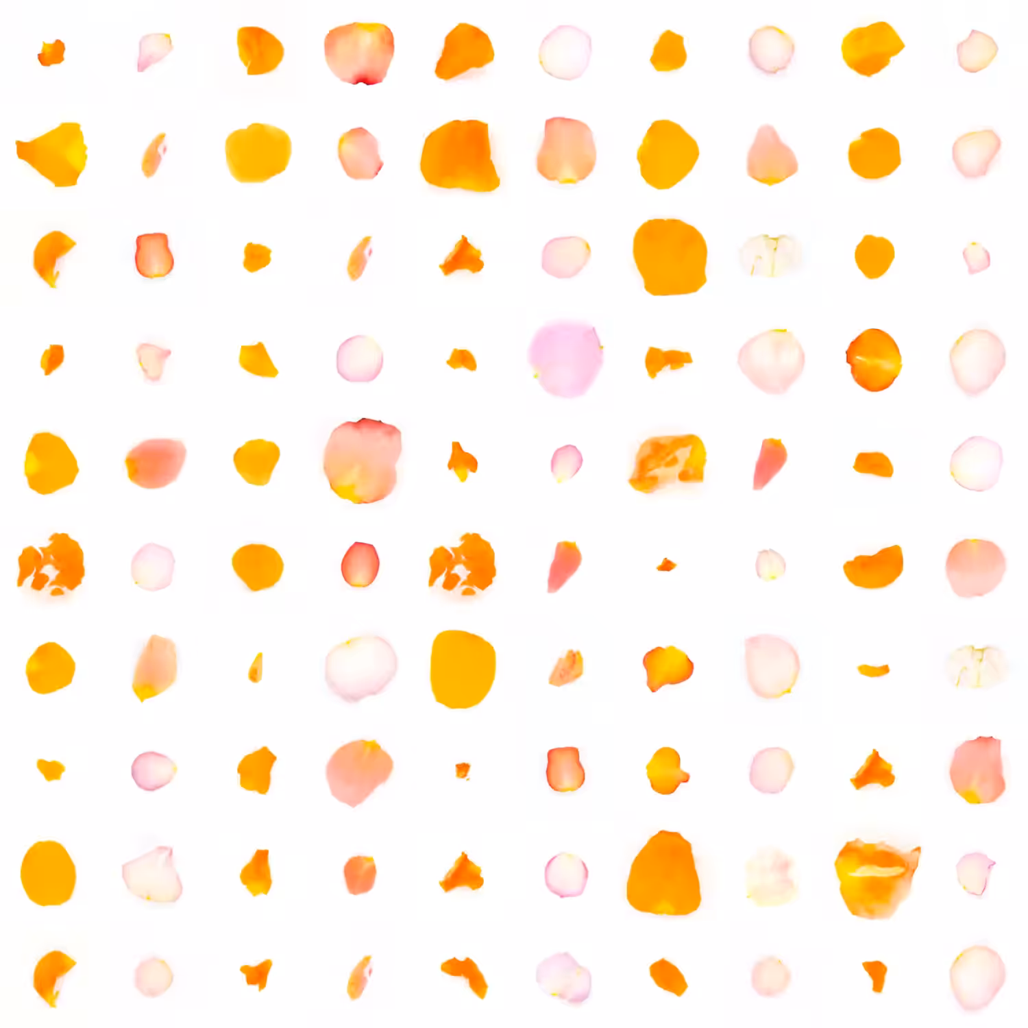 Infinite Petals 10x10#2661