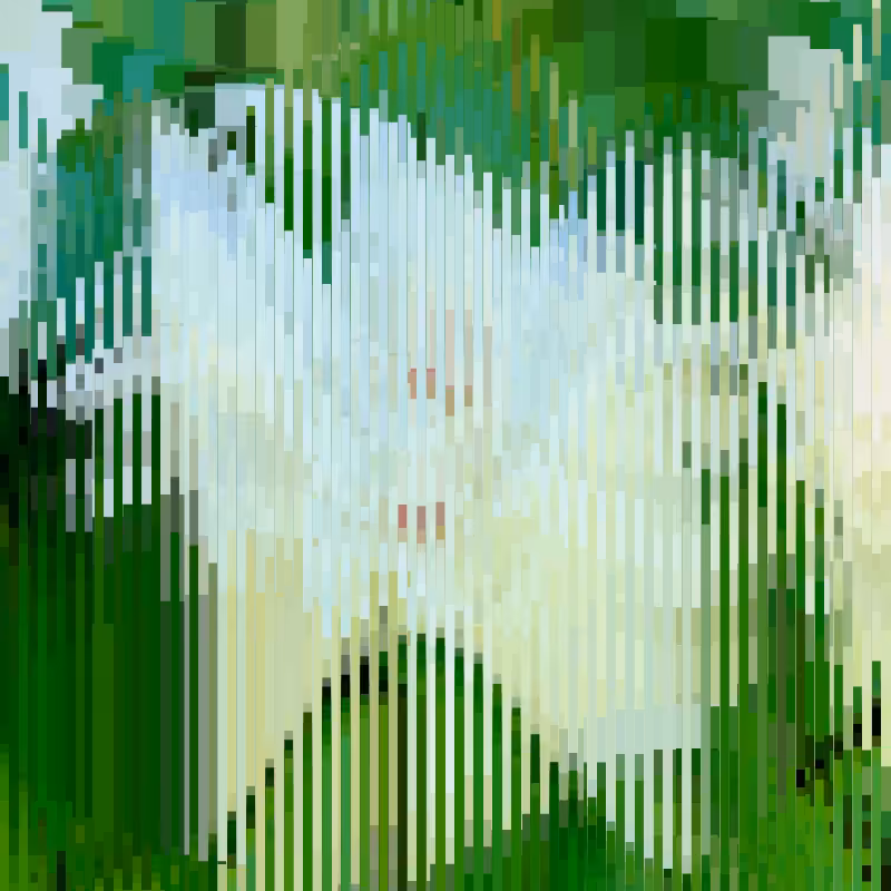 Sing_2022 #29