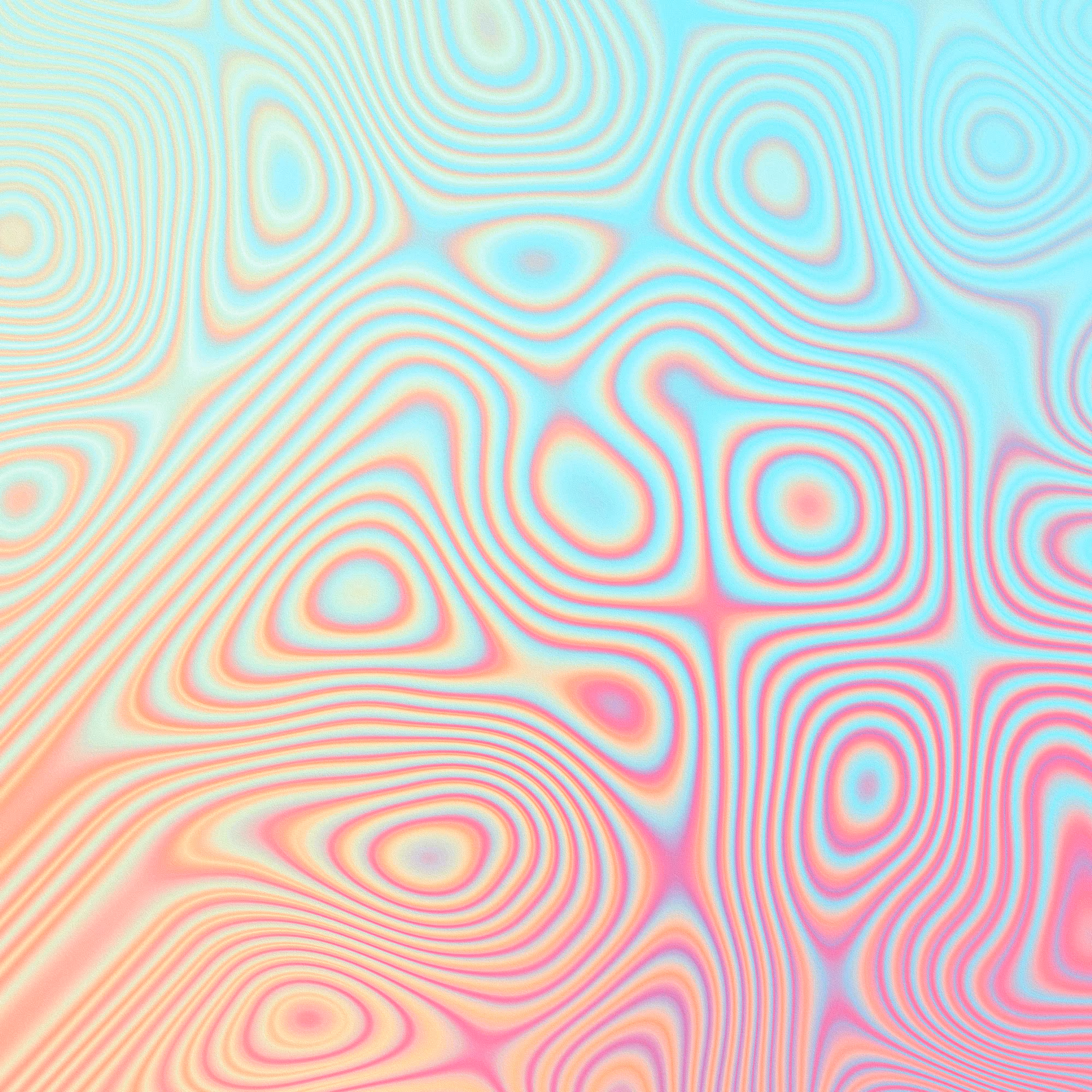           156