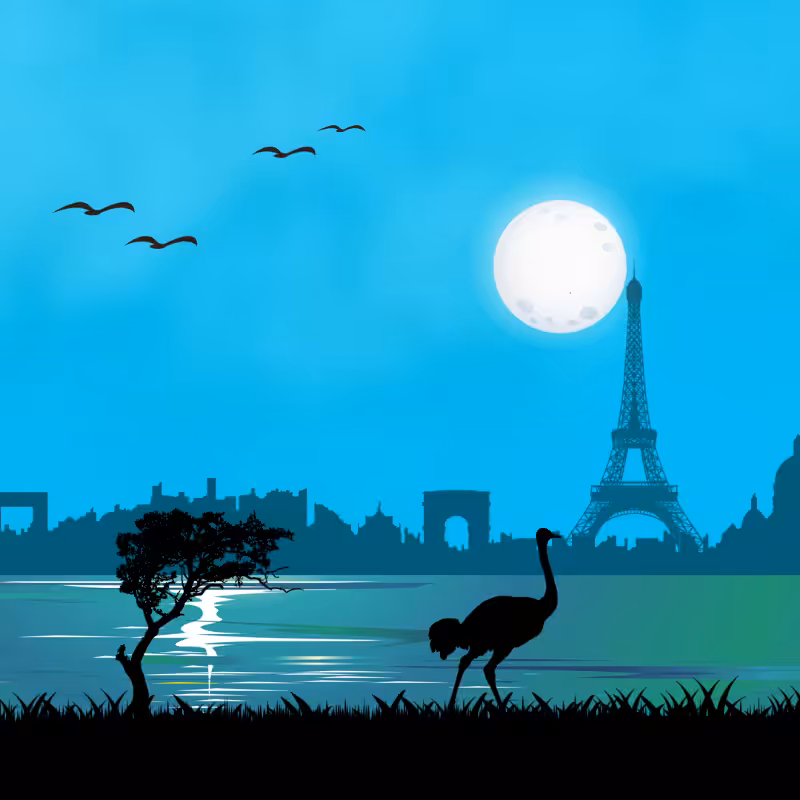 We Care...Ostrich #1