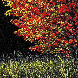 A. G. A.: A Day Left Over from Autumn
