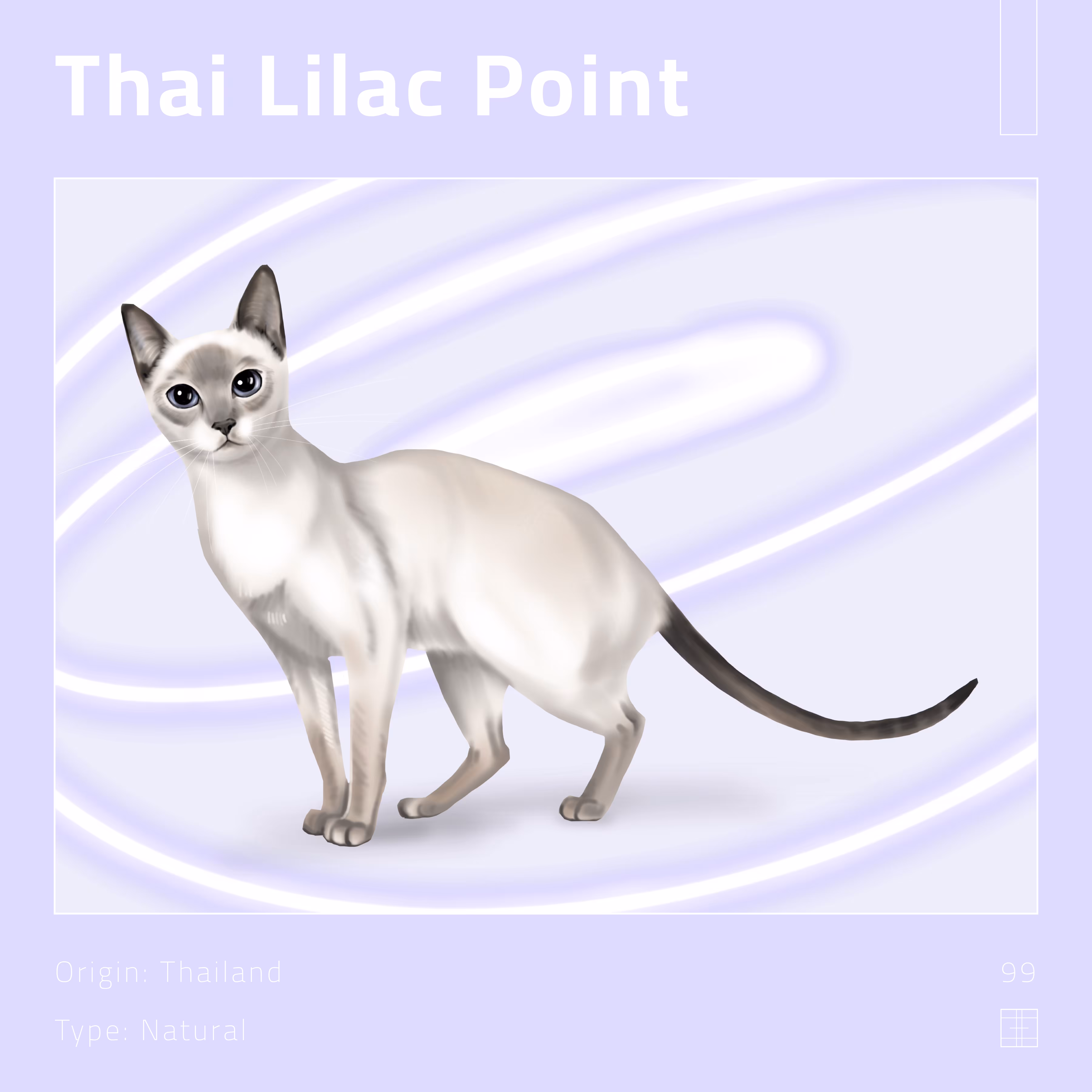 99 – Thai Lilac Point