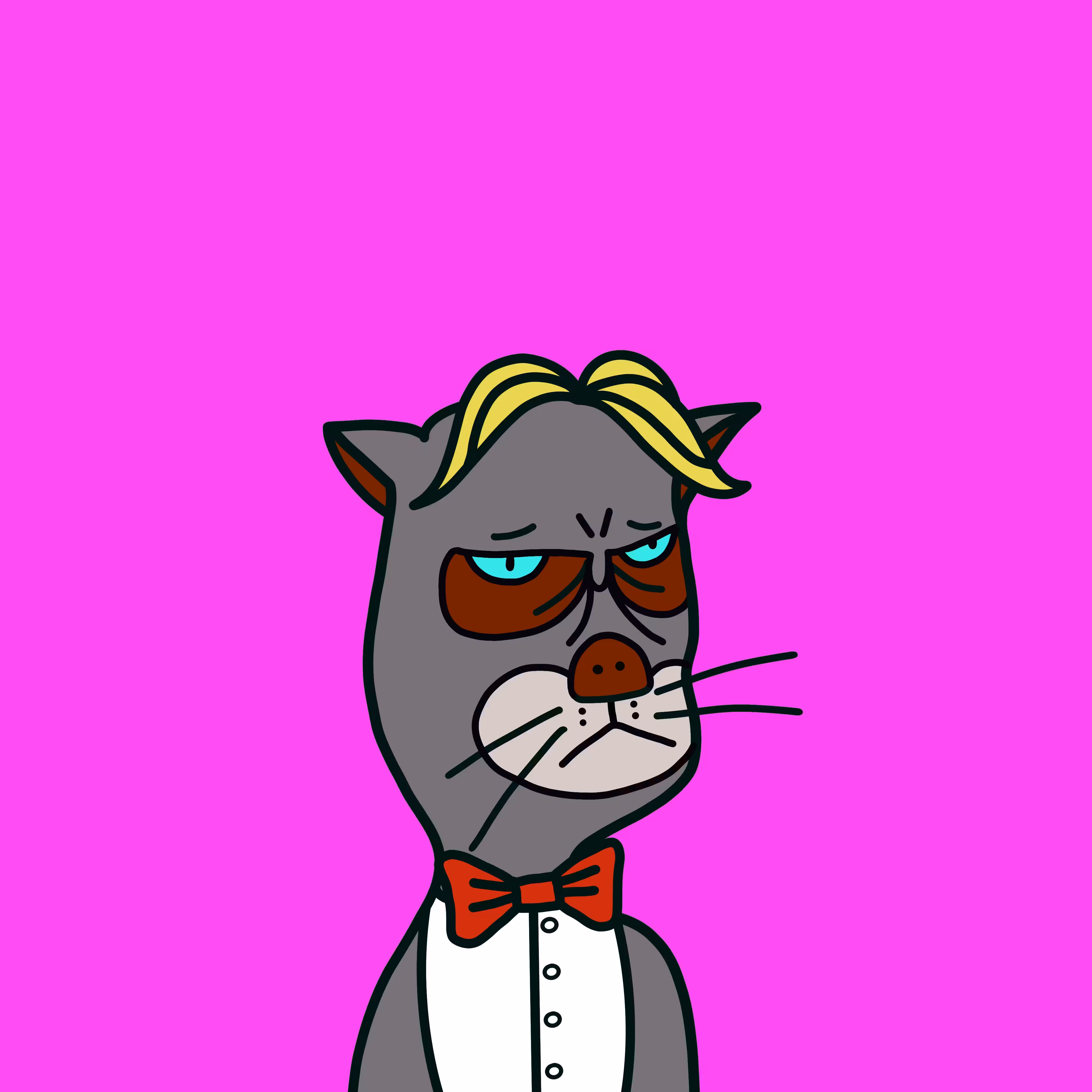 Grumpy cat#3