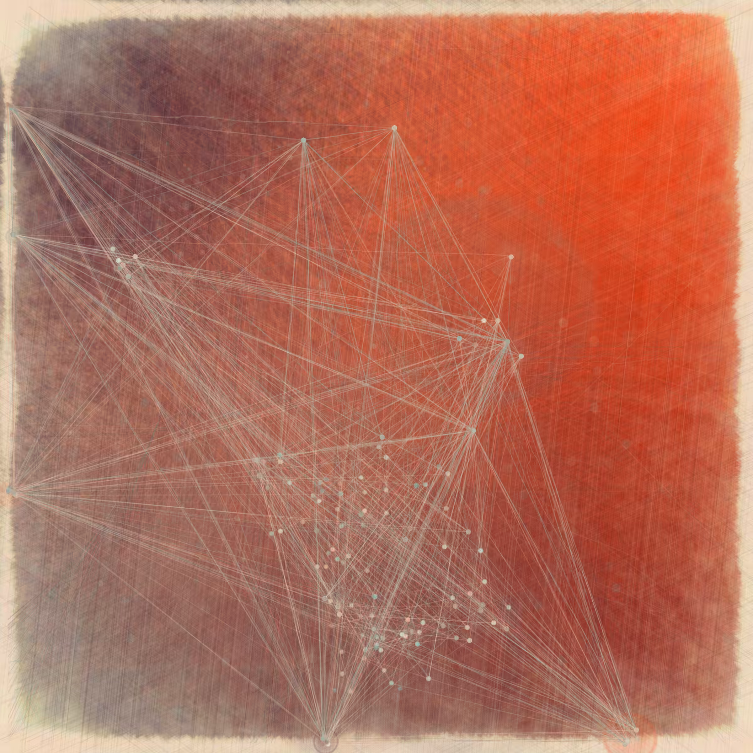 Reticulum