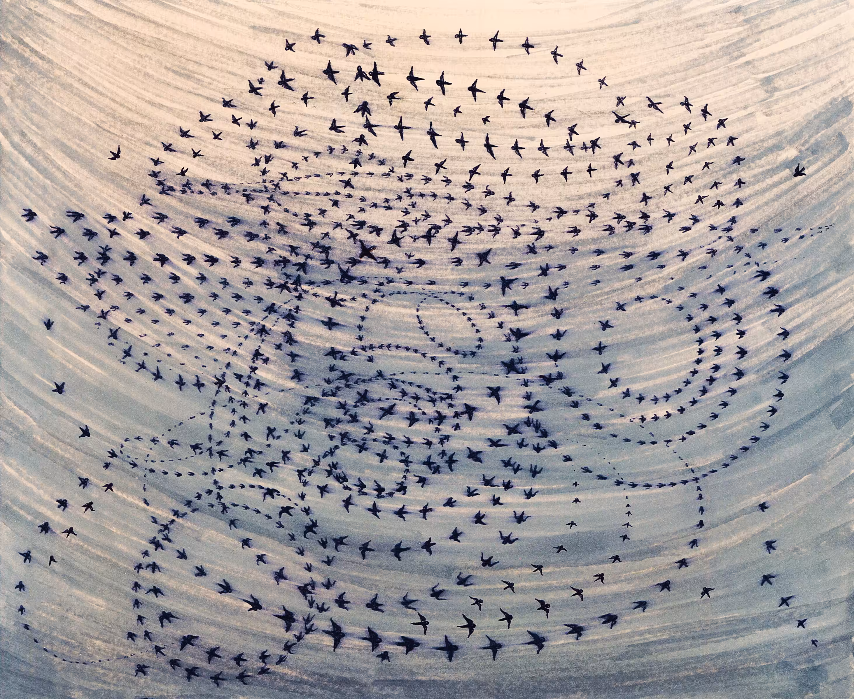 Harmony of birds