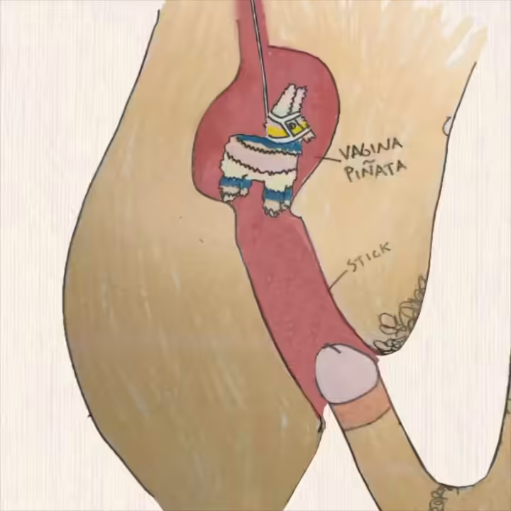 VAGINA PINATA