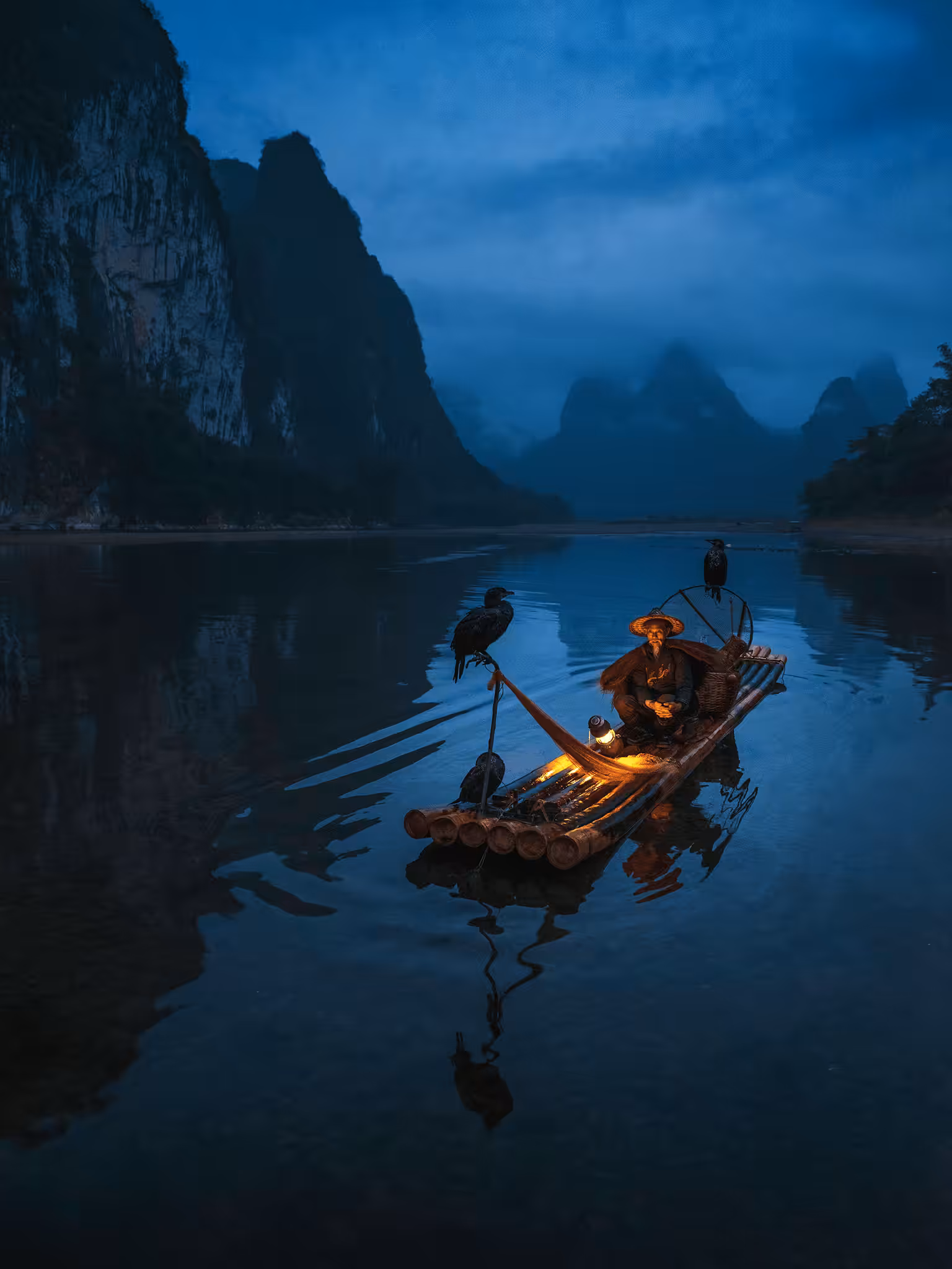 The Master and the Cormorants