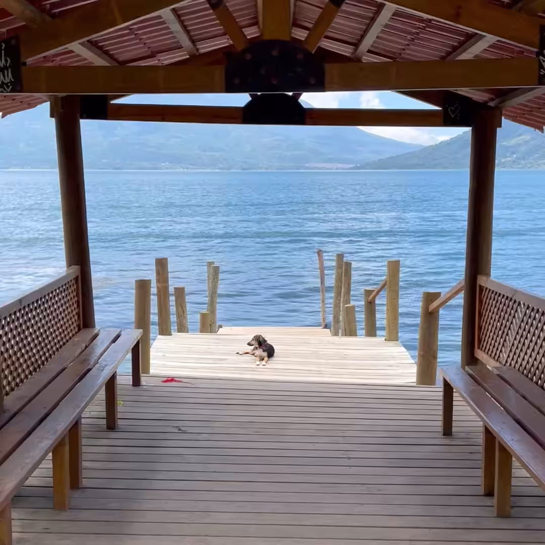 MOMENT #7 - Dog on the dock.