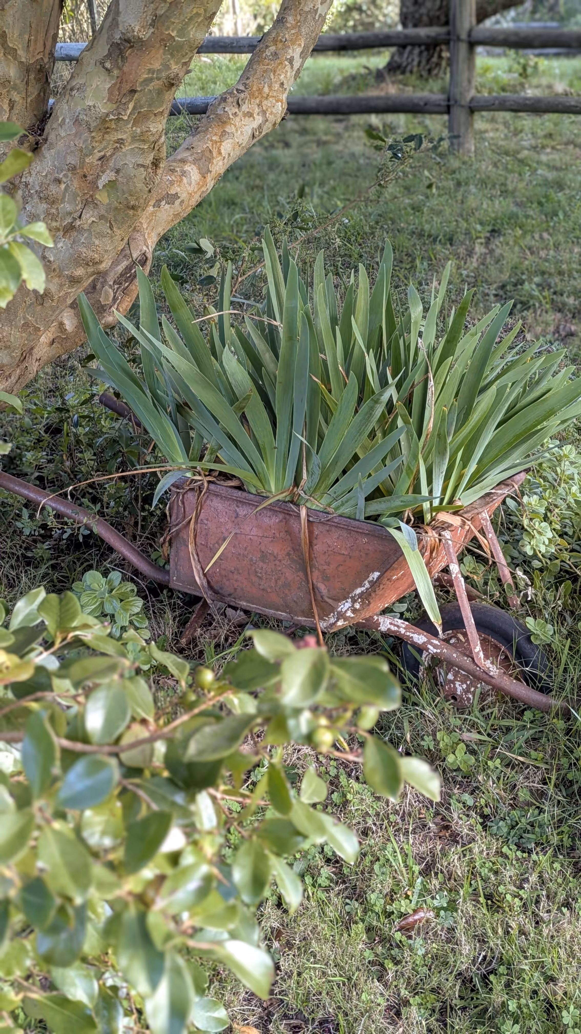 Nature wins