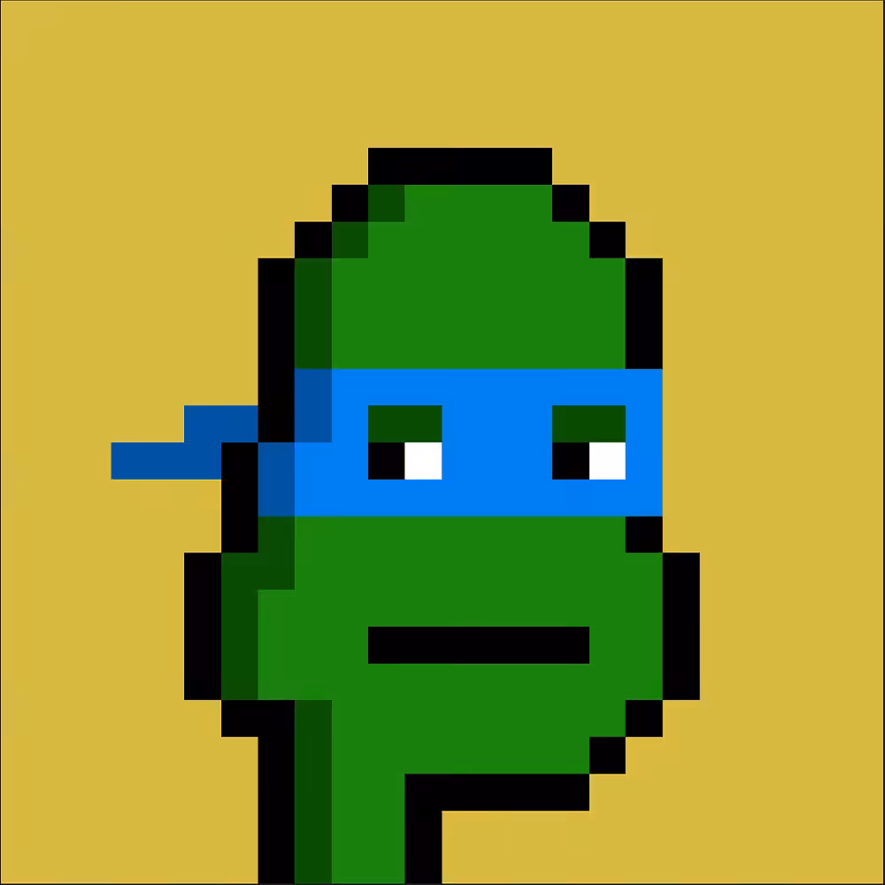Ninja Turtle Punks