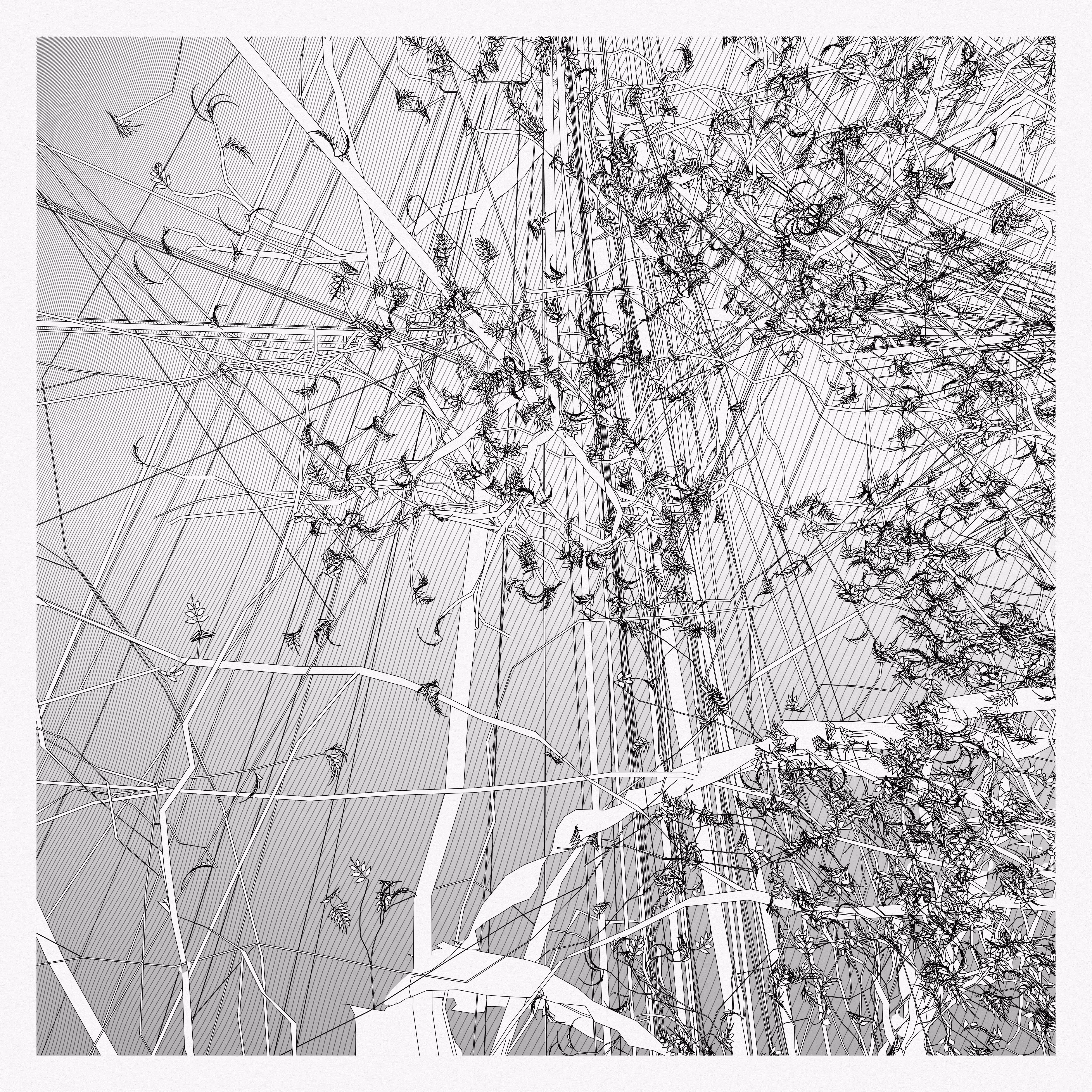A Bugged Forest #461